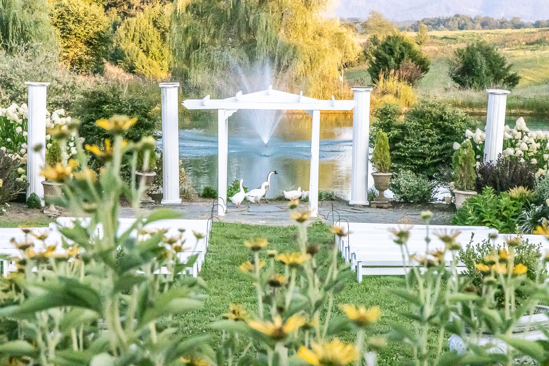 sinkland-farms-event-wedding-venue_tuscan-pond-and-gardens-outdoor-wedding_sm-website-4680-copy.jpg