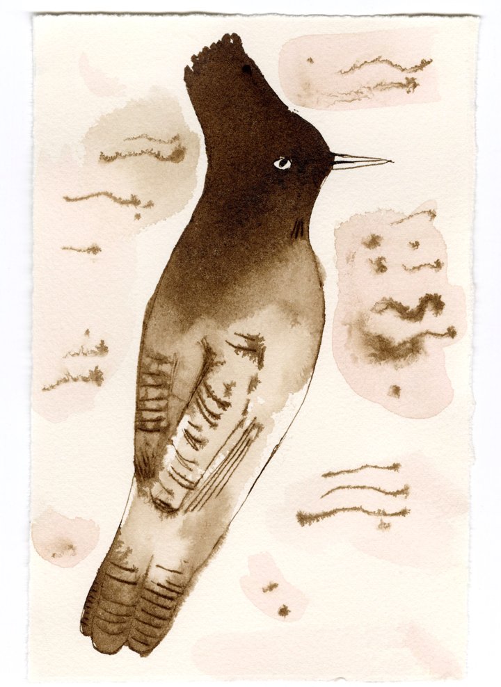 ink bird1-small.jpg