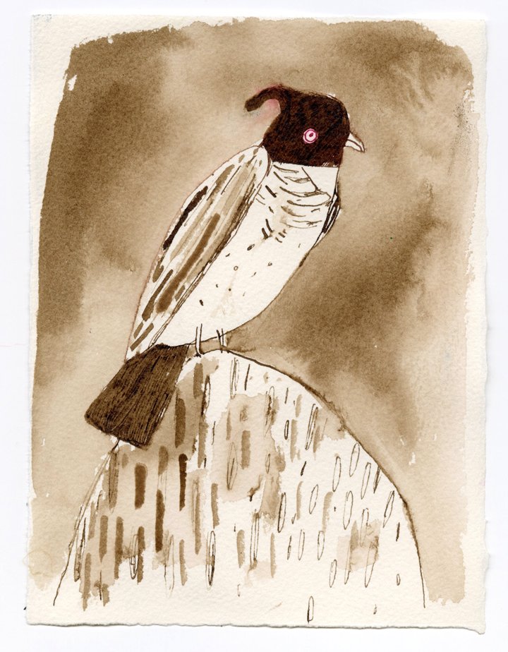 ink bird2-small.jpg