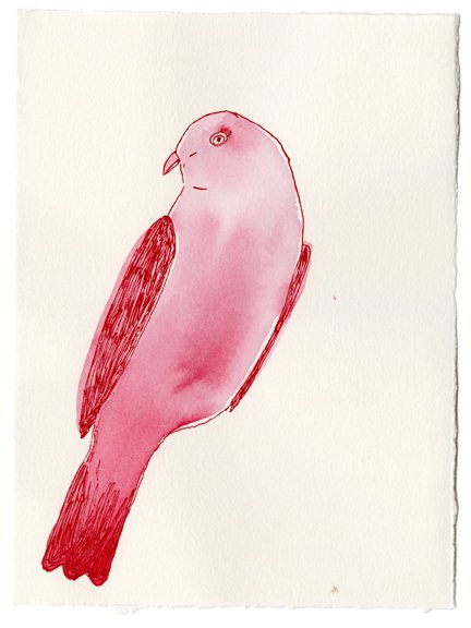 ink bird9-small.jpg