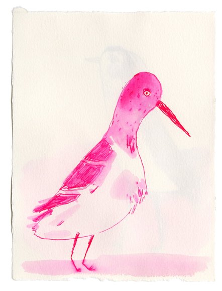 ink bird12-small.jpg