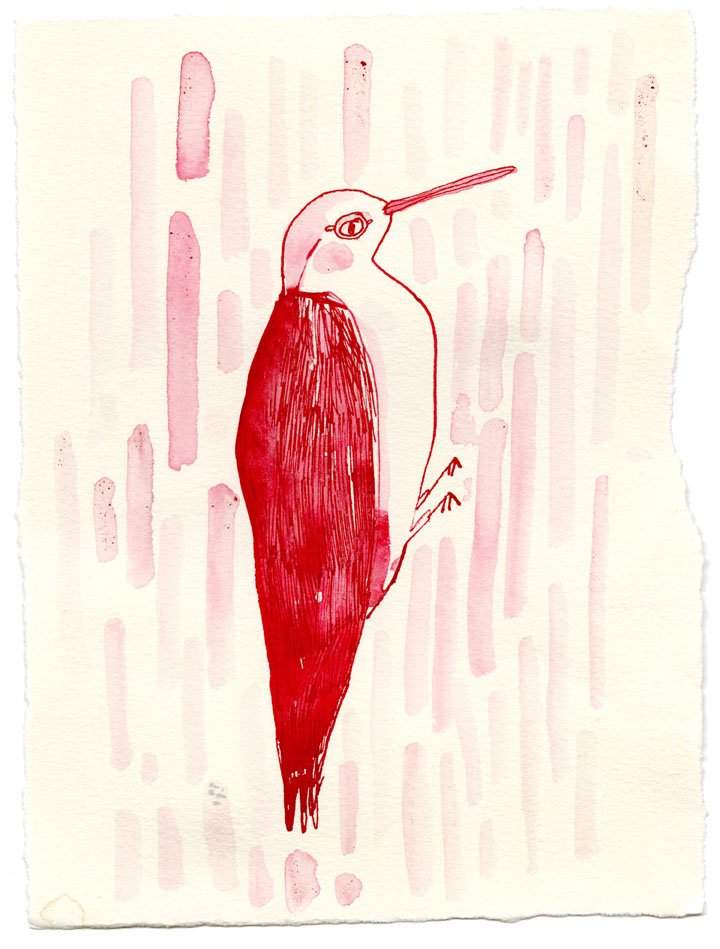 ink bird17-small.jpg