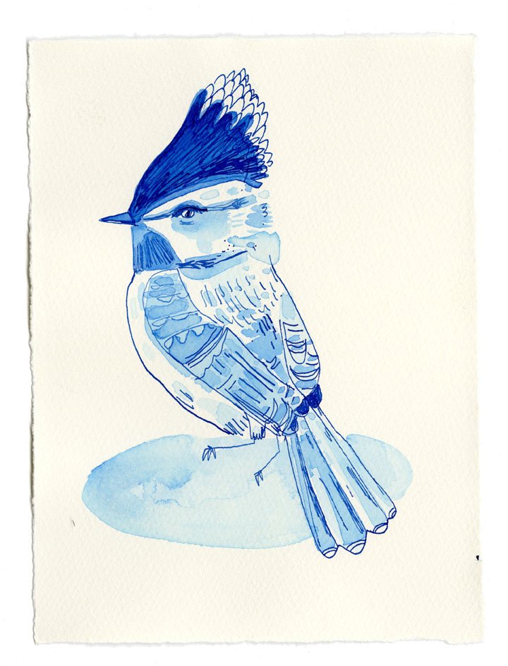 ink bird22-small.jpg