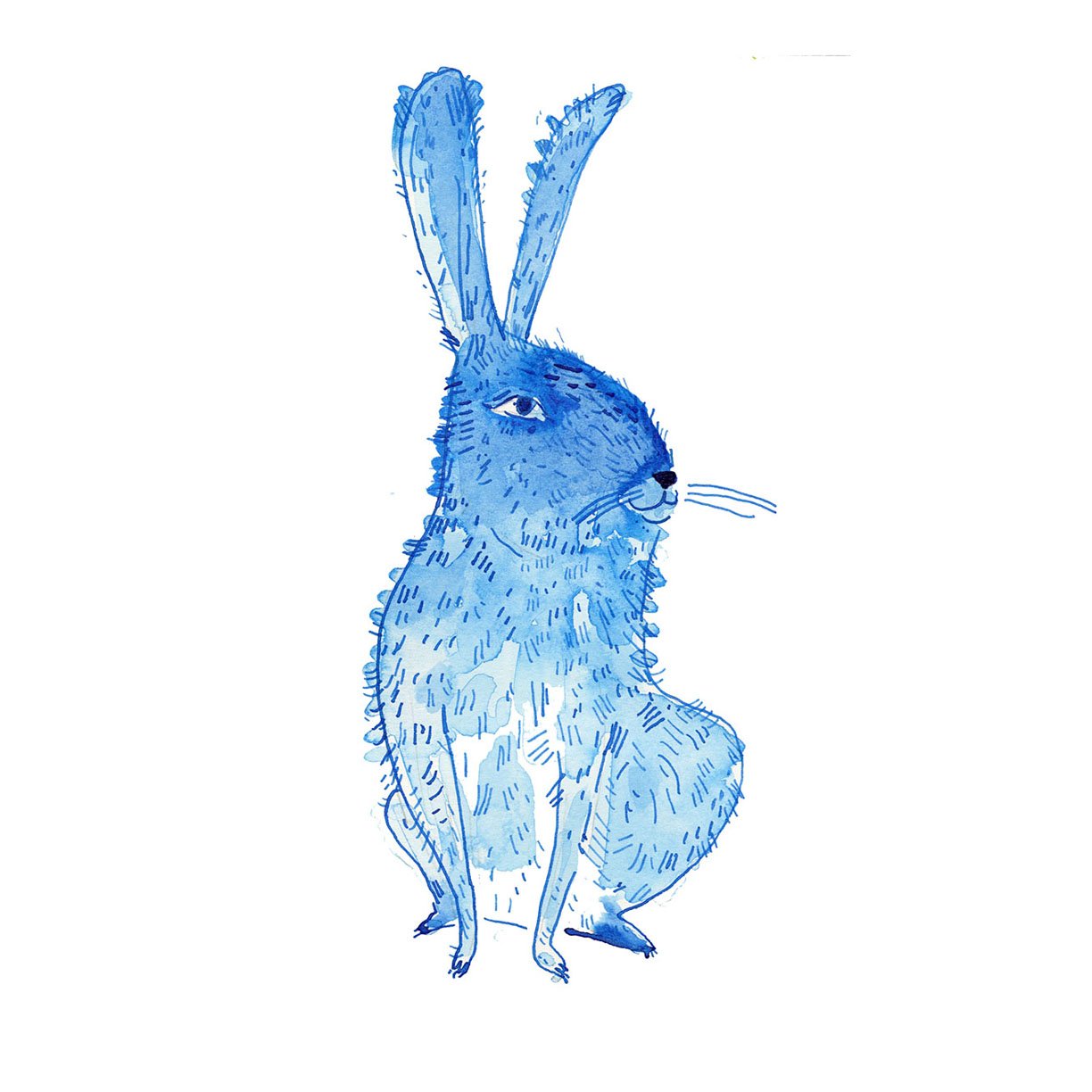 bunny-small.jpg