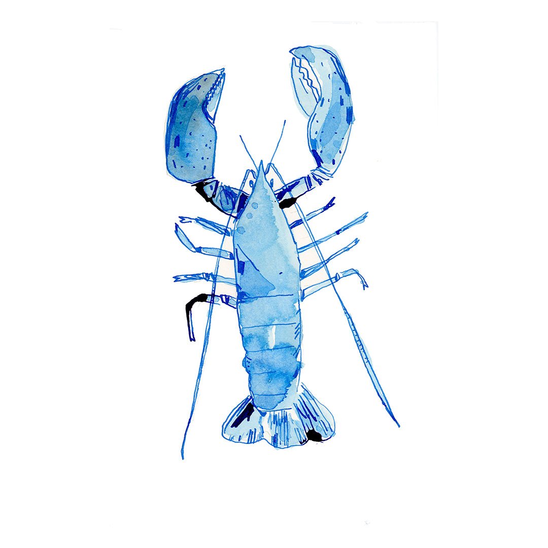 lobster-small.jpg