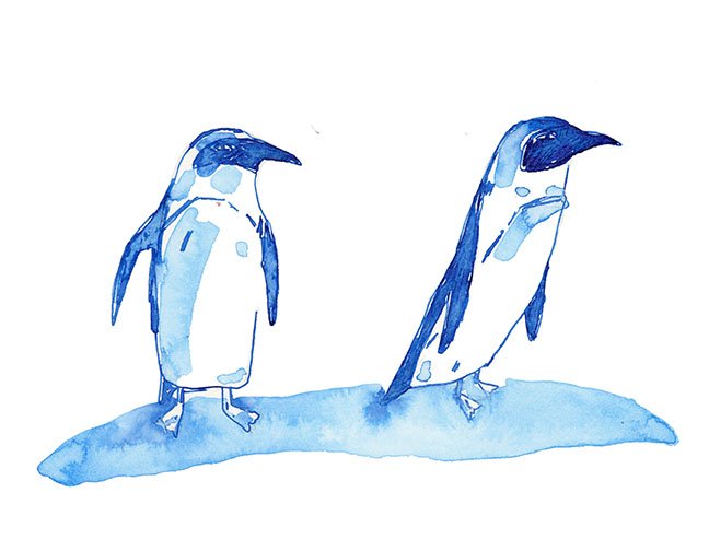 penguins-small.jpg