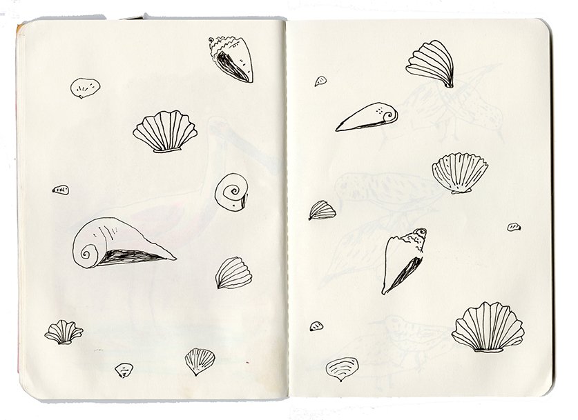 sanibel sketchbook9-small.jpg