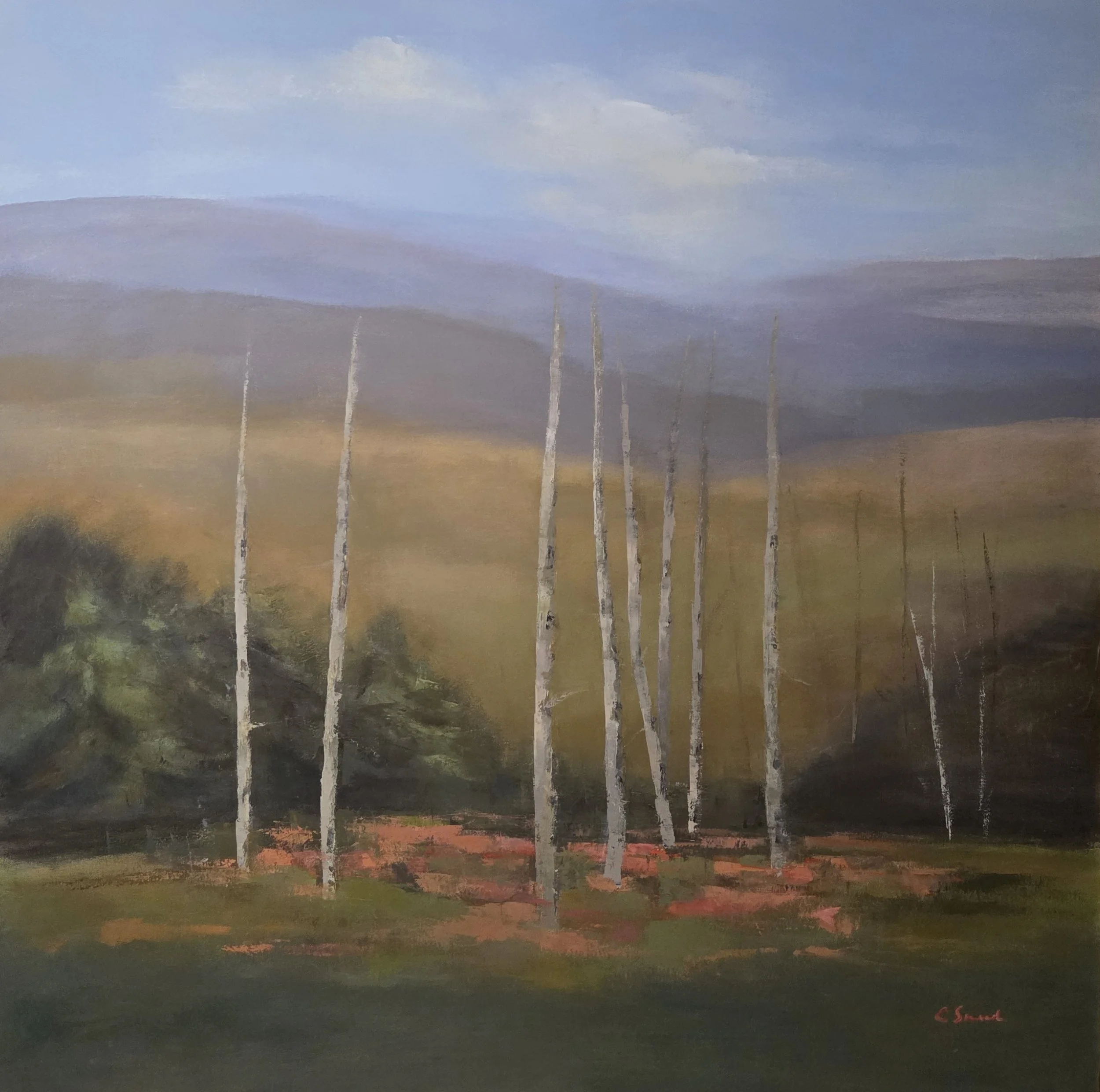 CS257- Smuggler Mountain Overlook, 48x48, oil on canvas