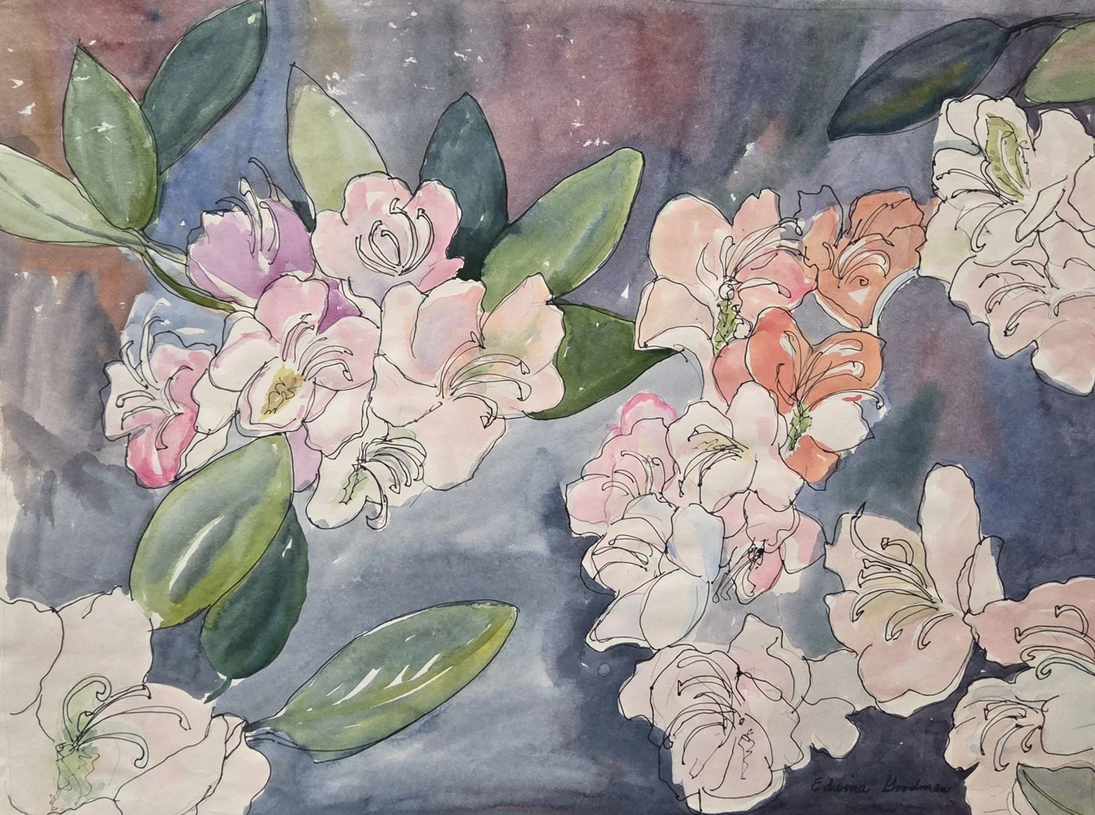 EG178- "Highlander Beauties", 1991, 24x18, watercolor