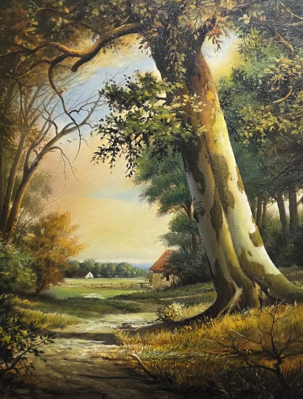Emmitt Thames, Old Beech Tree, 14x18, oil on canvas