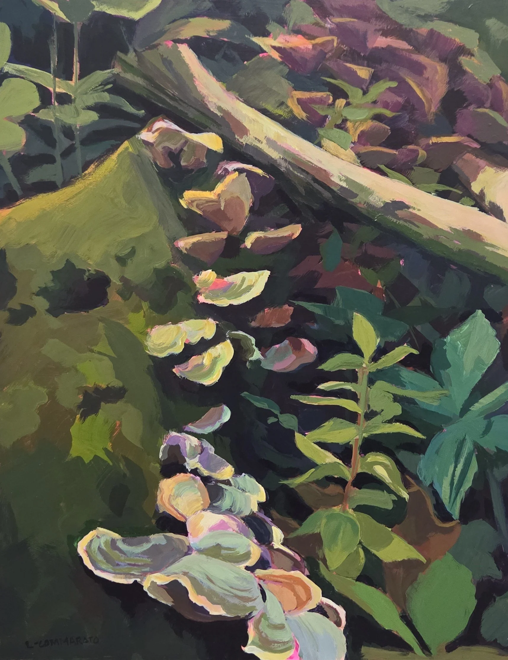 LC053- There if You Look, 11x14, acrylic on board