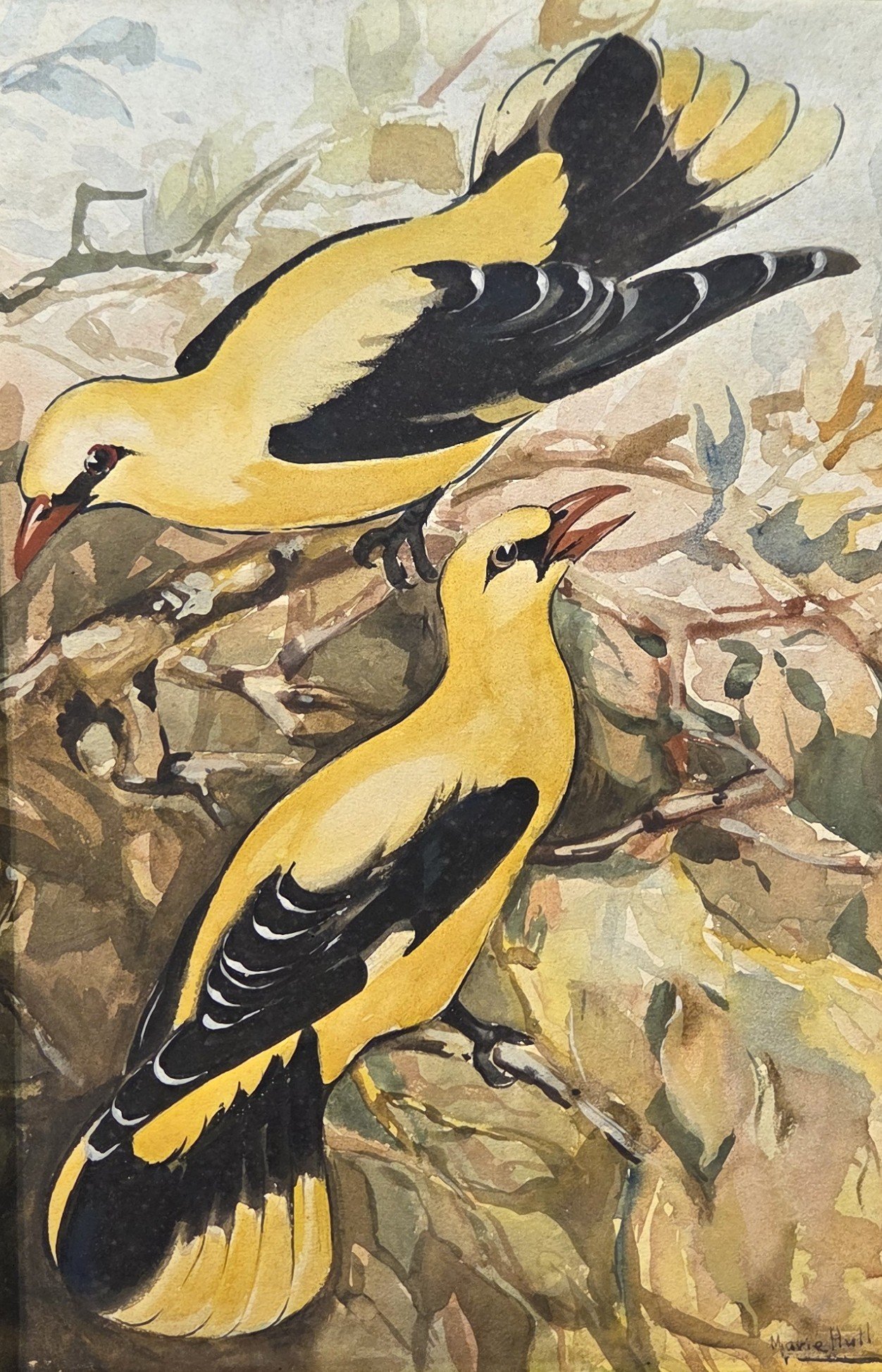 Marie Hull, Two Yellow & Black Birds, 9.5x14.5, watercolor
