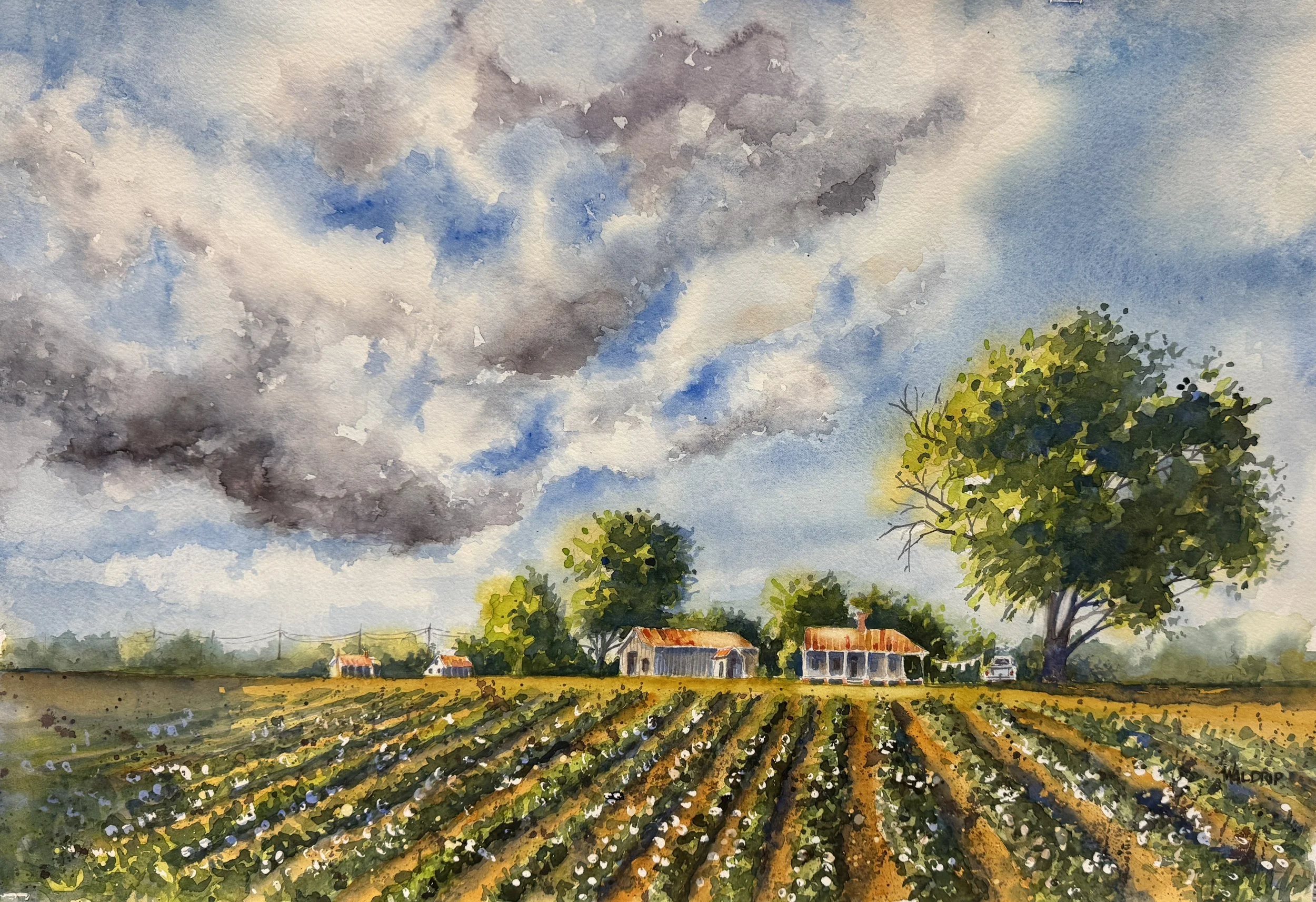 DW476- Between the Rows, 22x15, watercolor