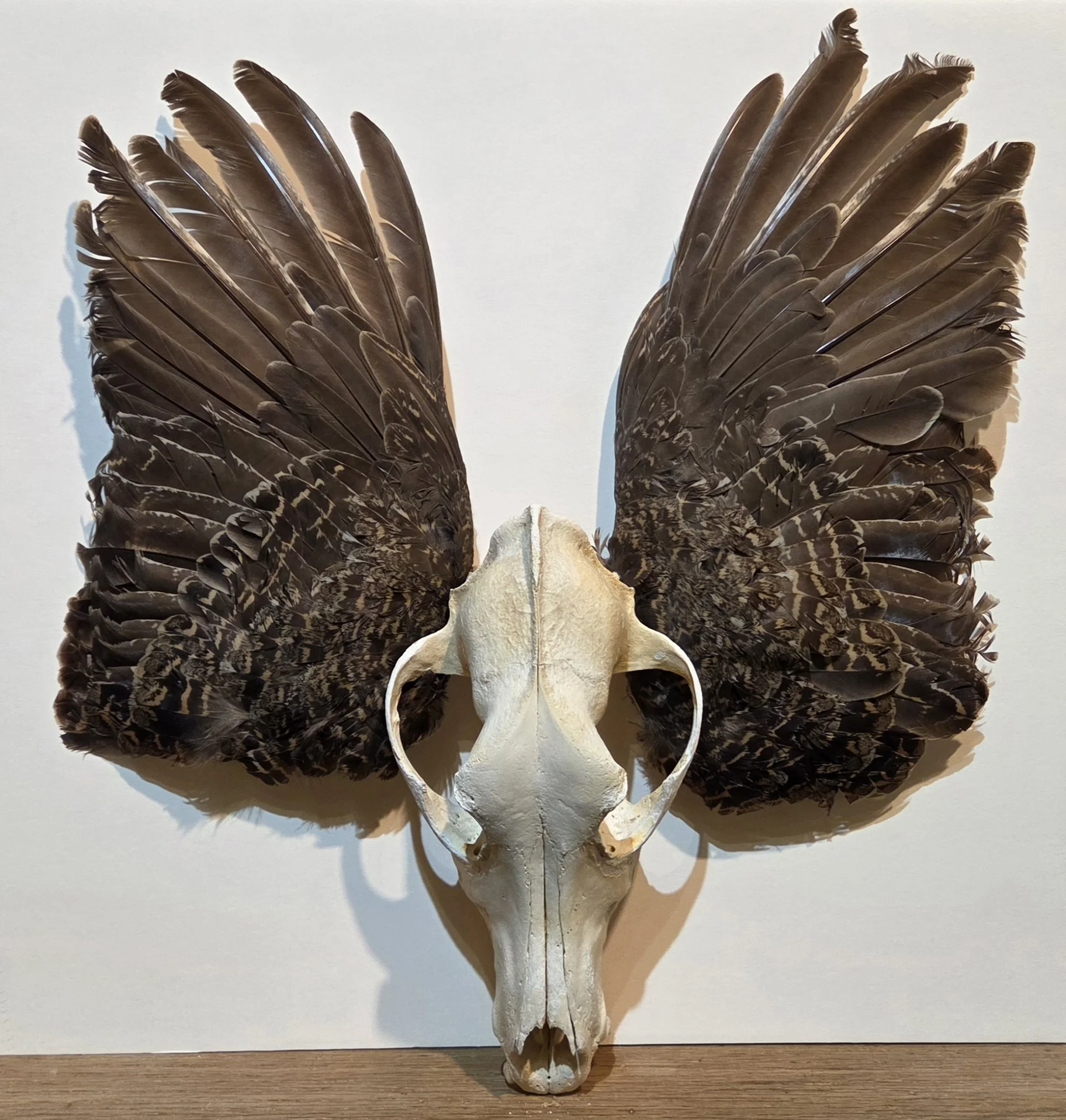 MA487- Spirit of the Herd, 12x15, mixed media