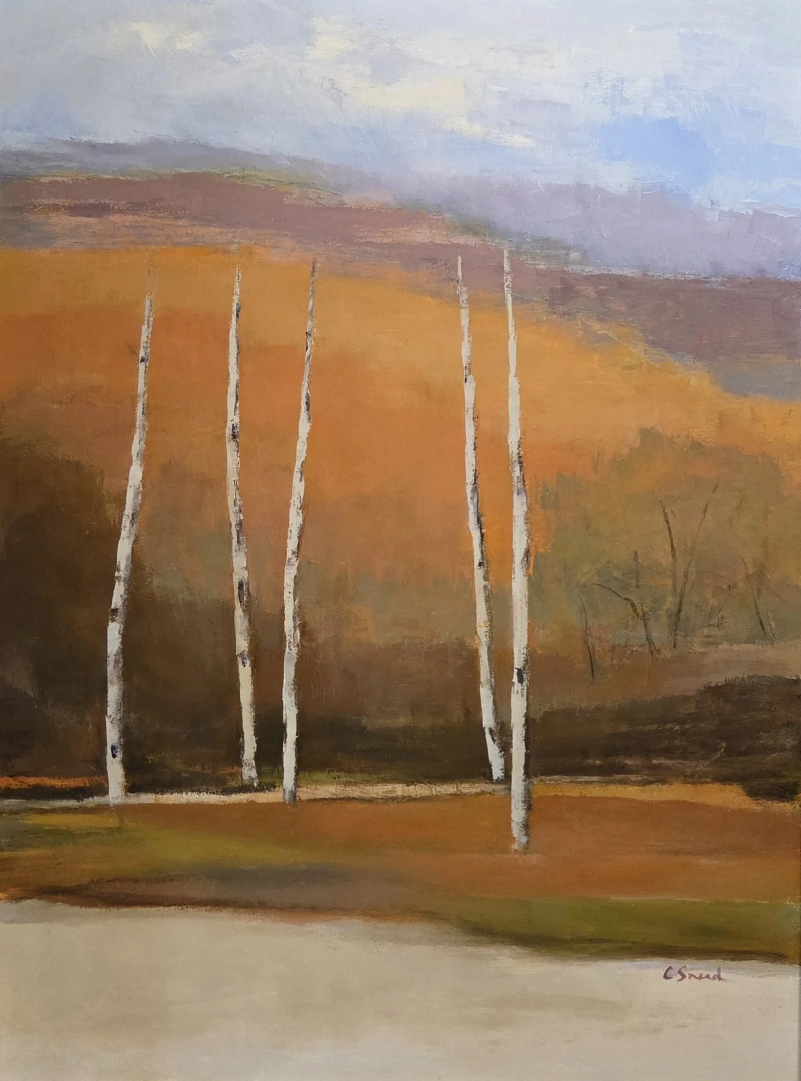 CS264- Autumn Glow, 36x48, oil on canvas
