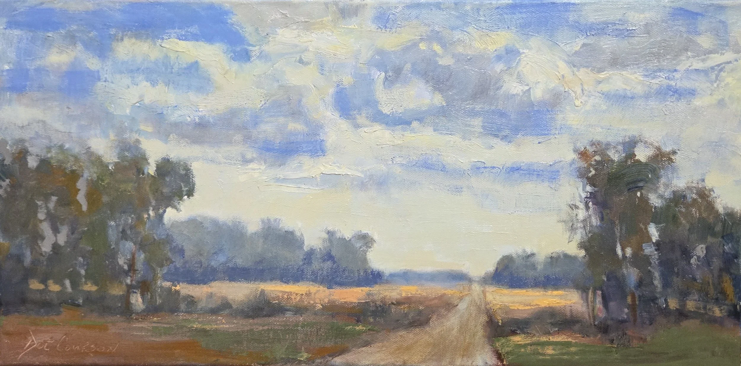 DC009- Chasing Clouds, 20x10, oil on canvas