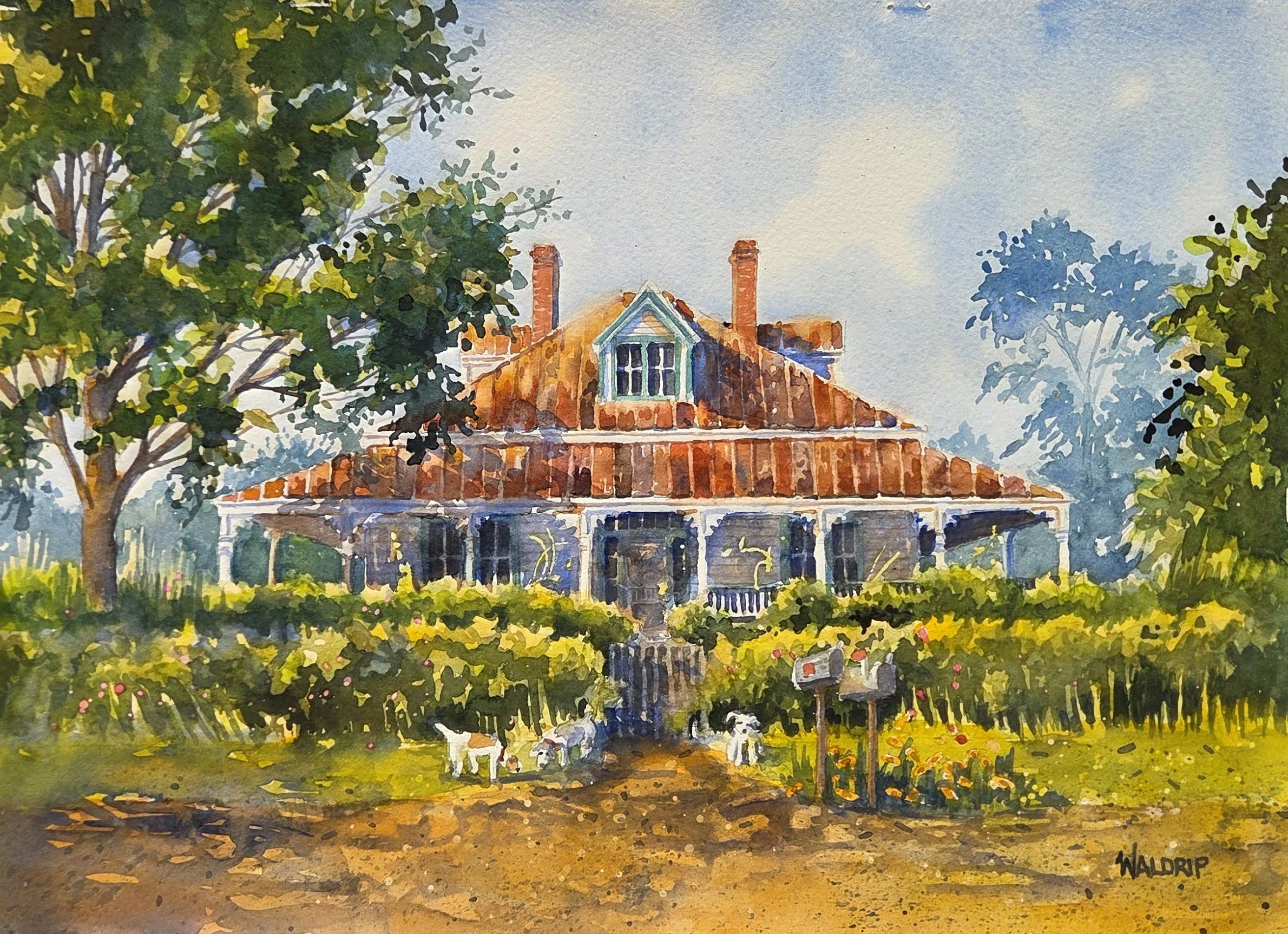 DW498- Finding Home, 15x11, watercolor