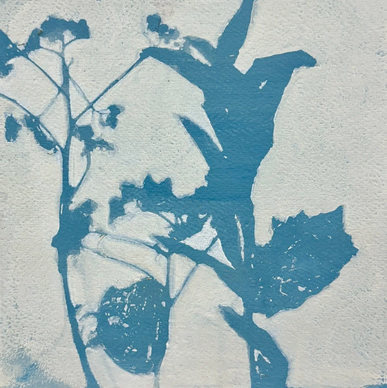 DS216- Blue Blooms II, 8x8, acrylic on paper