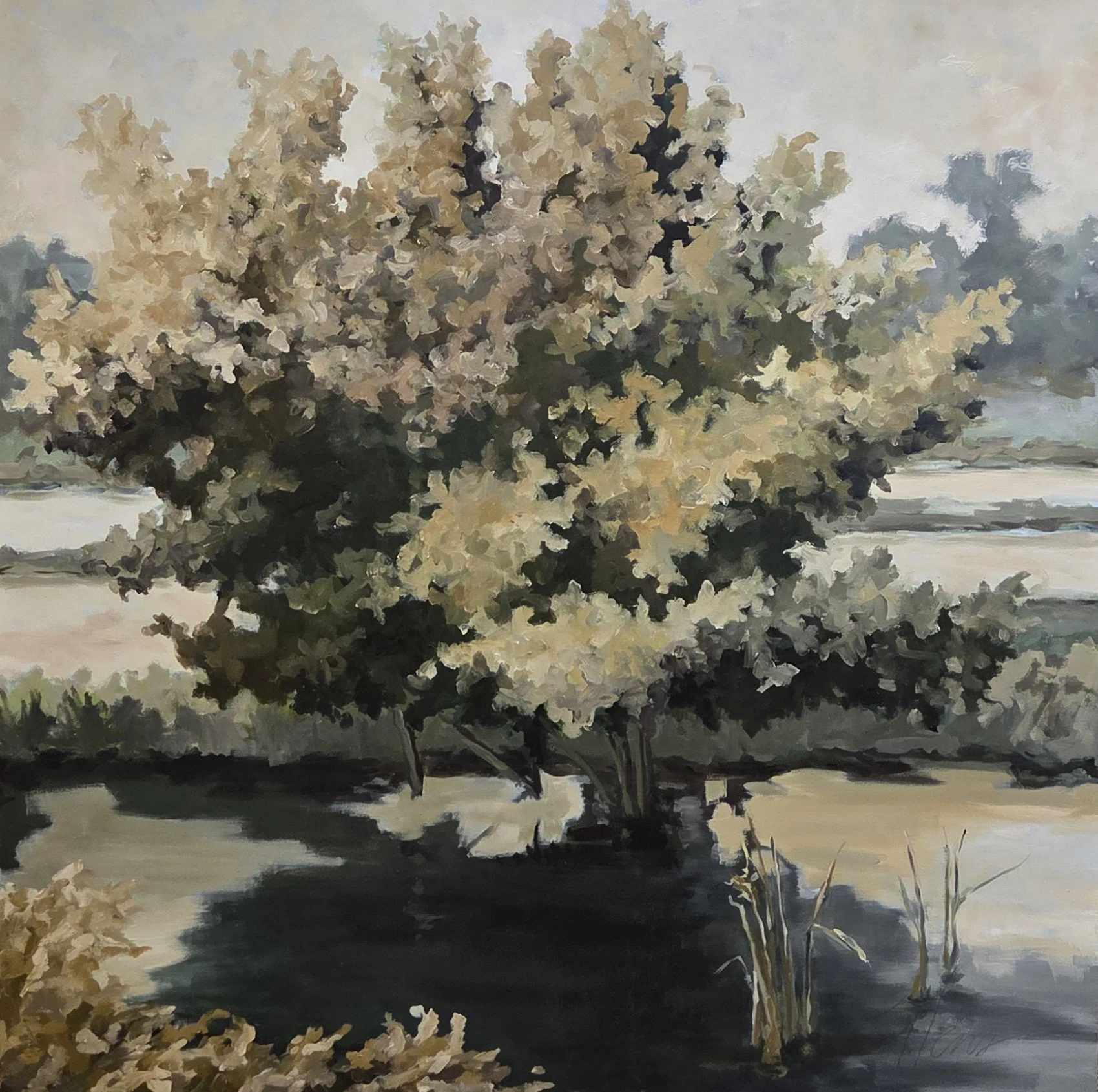 JE827- Twilight Tree, 48x48, oil on canvas
