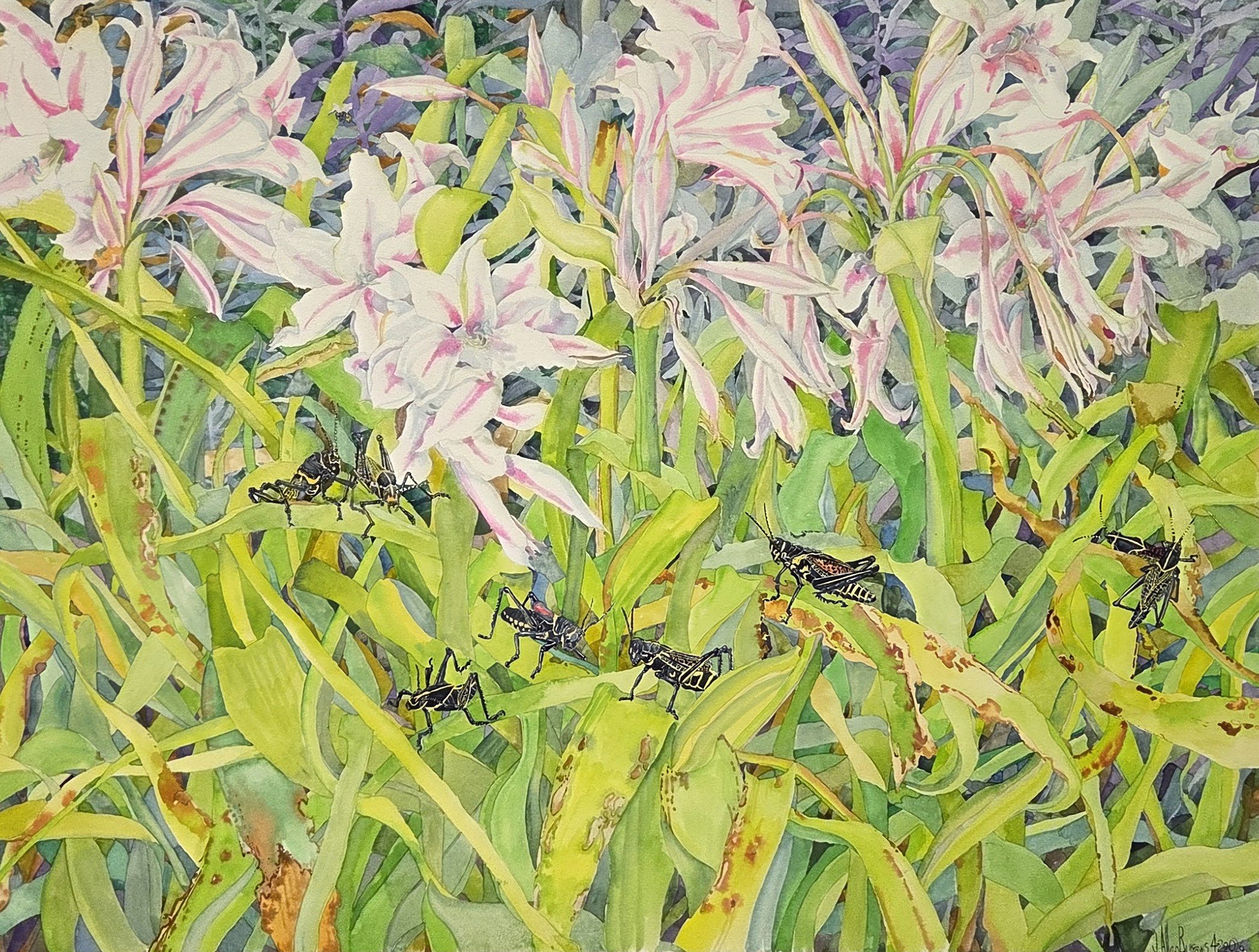 JAB120- Wouldn't it be Lubberly, 30x22.5, watercolor