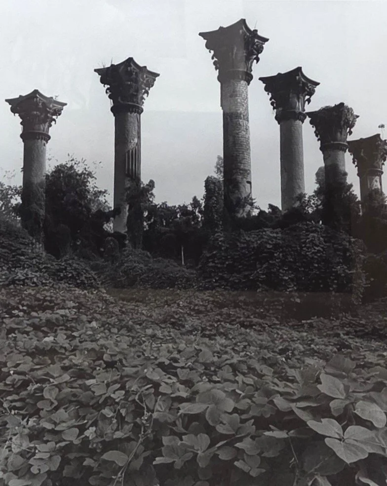 Eyd Kazery, Untitled- Windsor Ruins, 15x18, photograph
