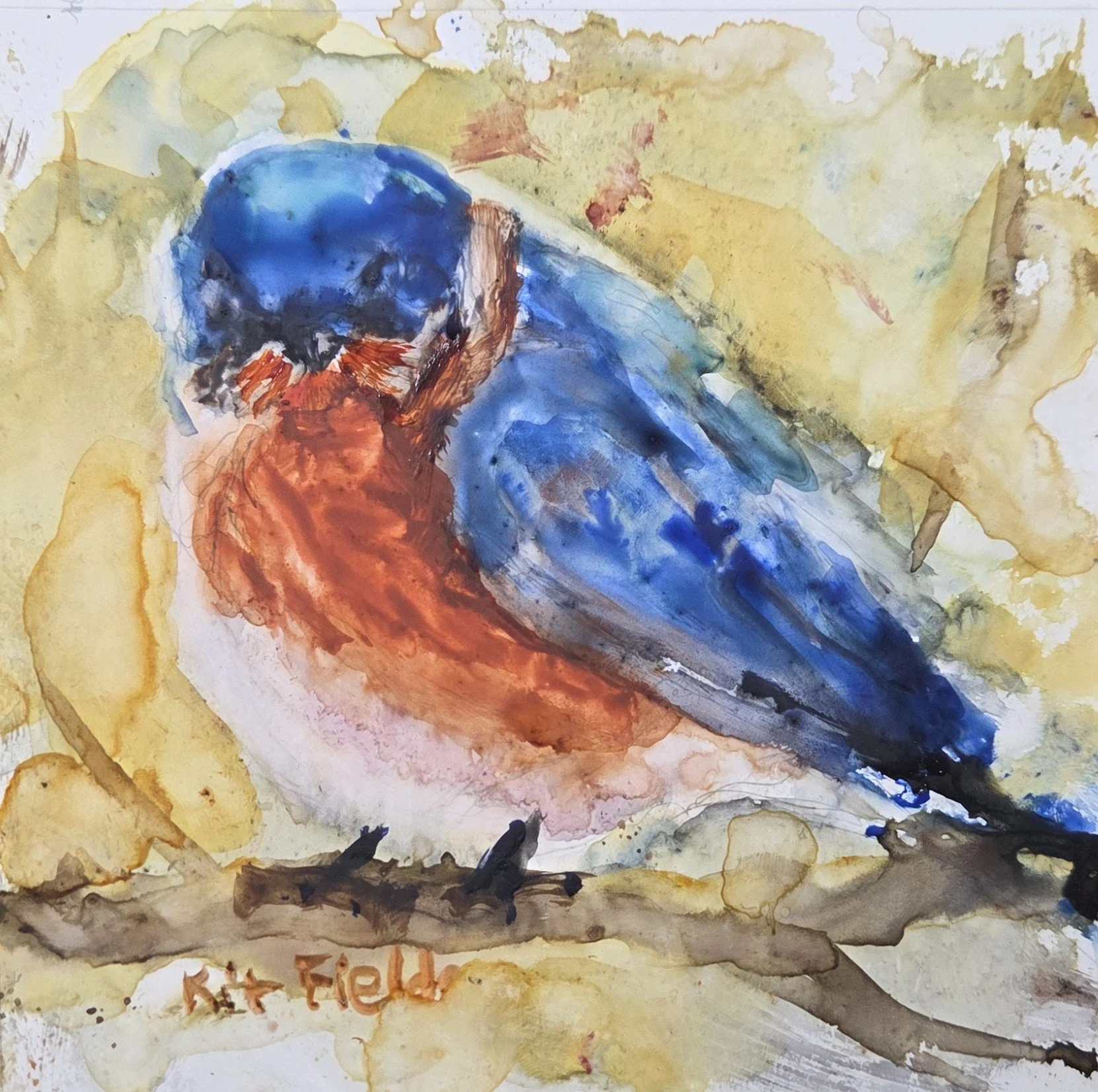KF819- Beaks and Branches II, 5x5, watercolor on yupo