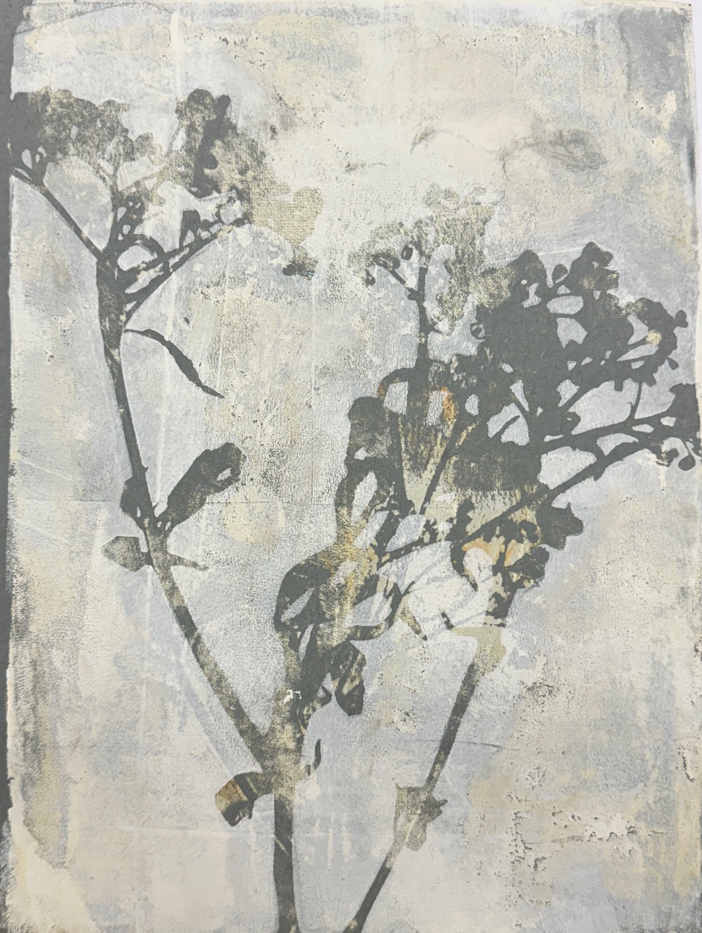 DS217- Cloudy Relief I, 9x12, acrylic on paper