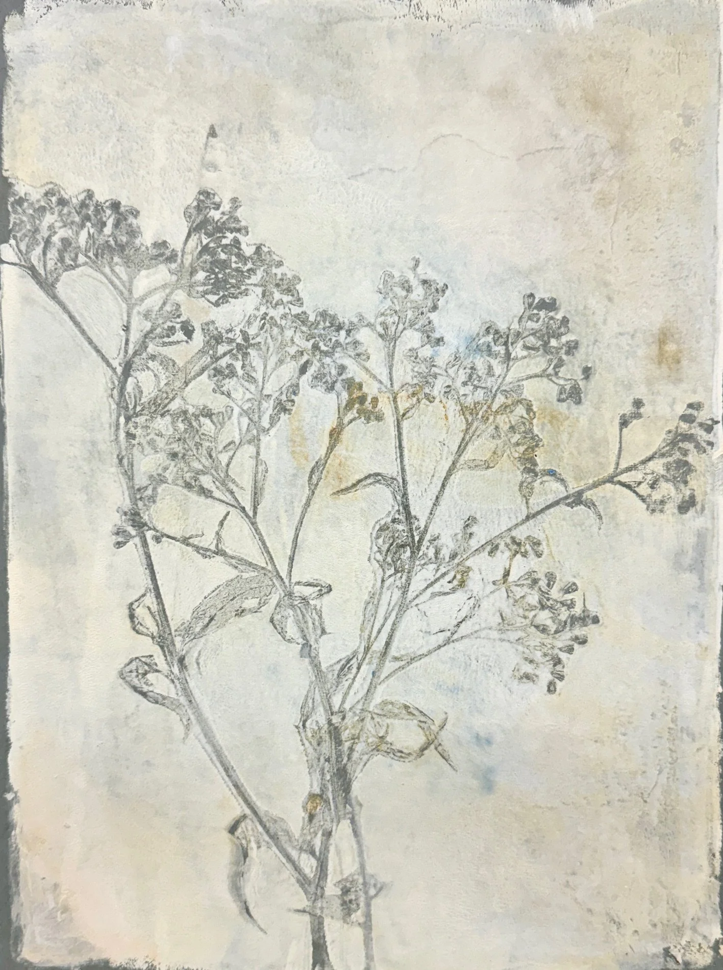 DS218- Cloudy Relief II, 9x12, acrylic on paper