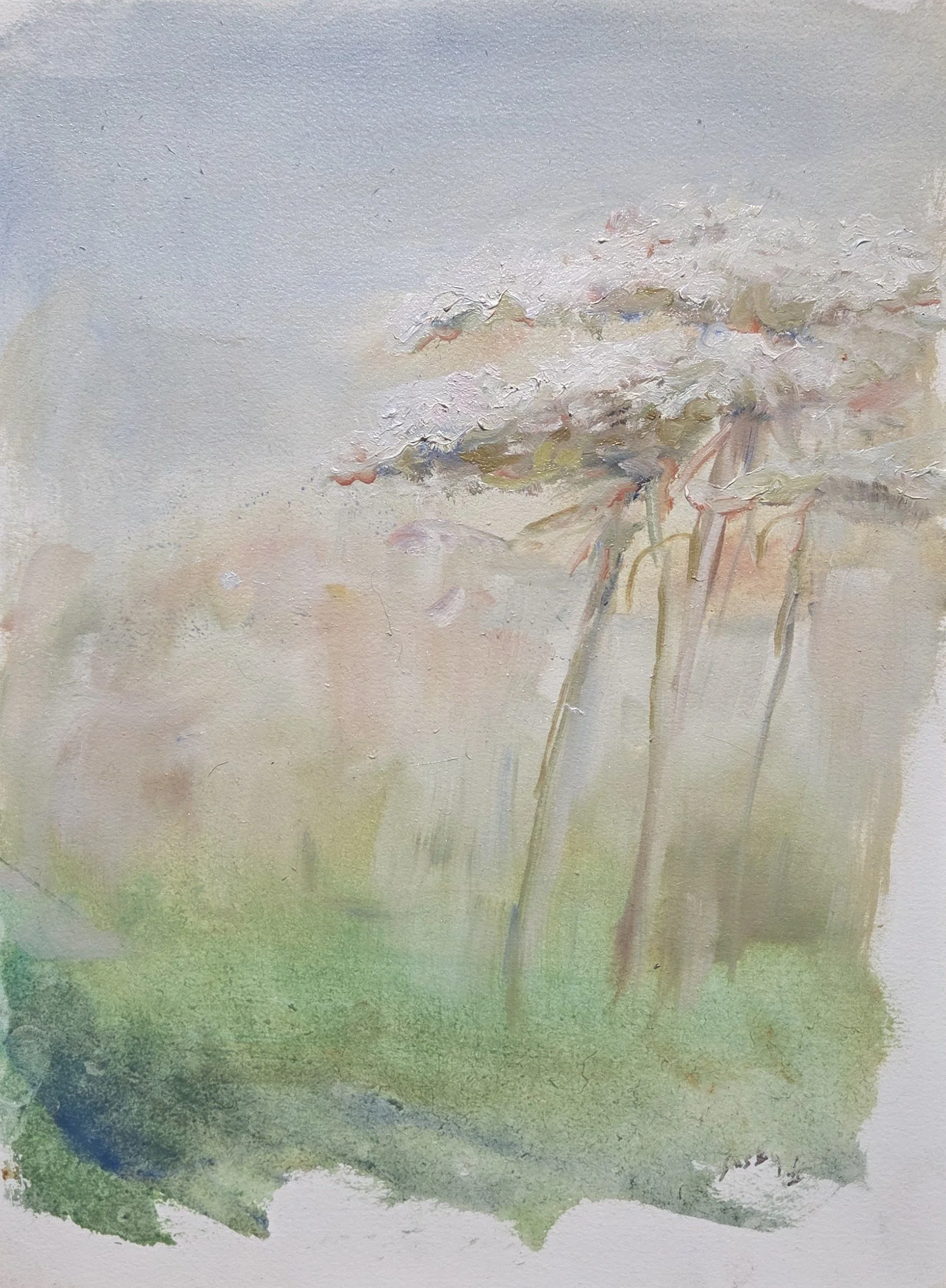 *SOLD* LB046- Emerald Field, 12x16, oil on paper