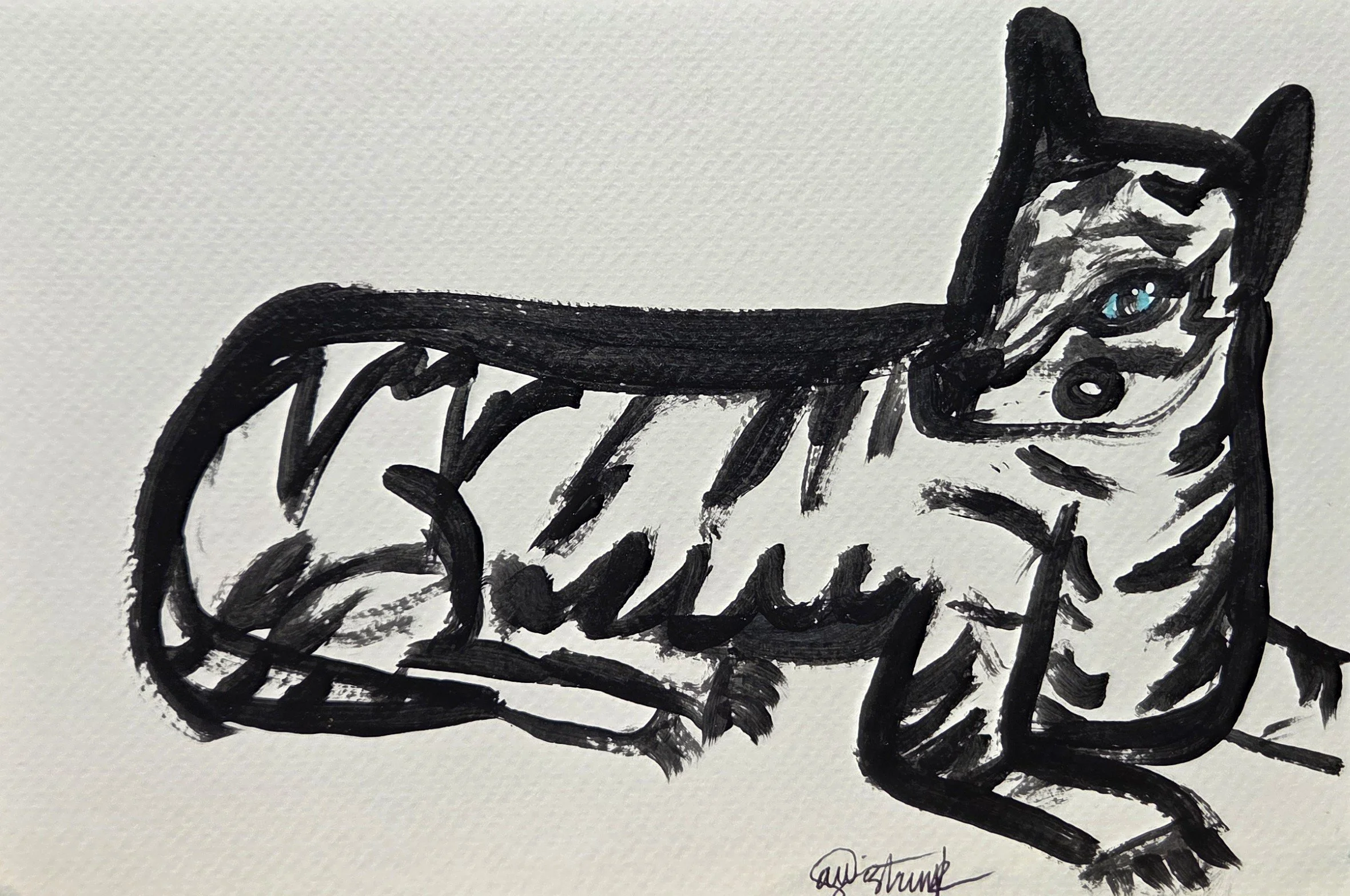 AWS214- Eye of the Tiger, 9x6, acrylic on paper