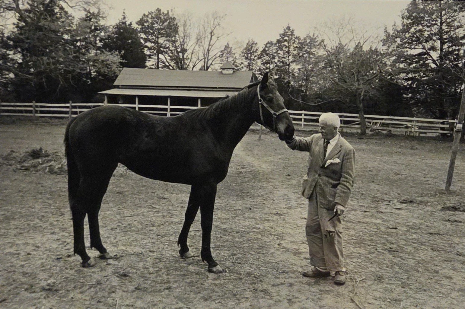 Martin Dain, Untitled- Faulkner and Horse, 12.5x8.5, photograph