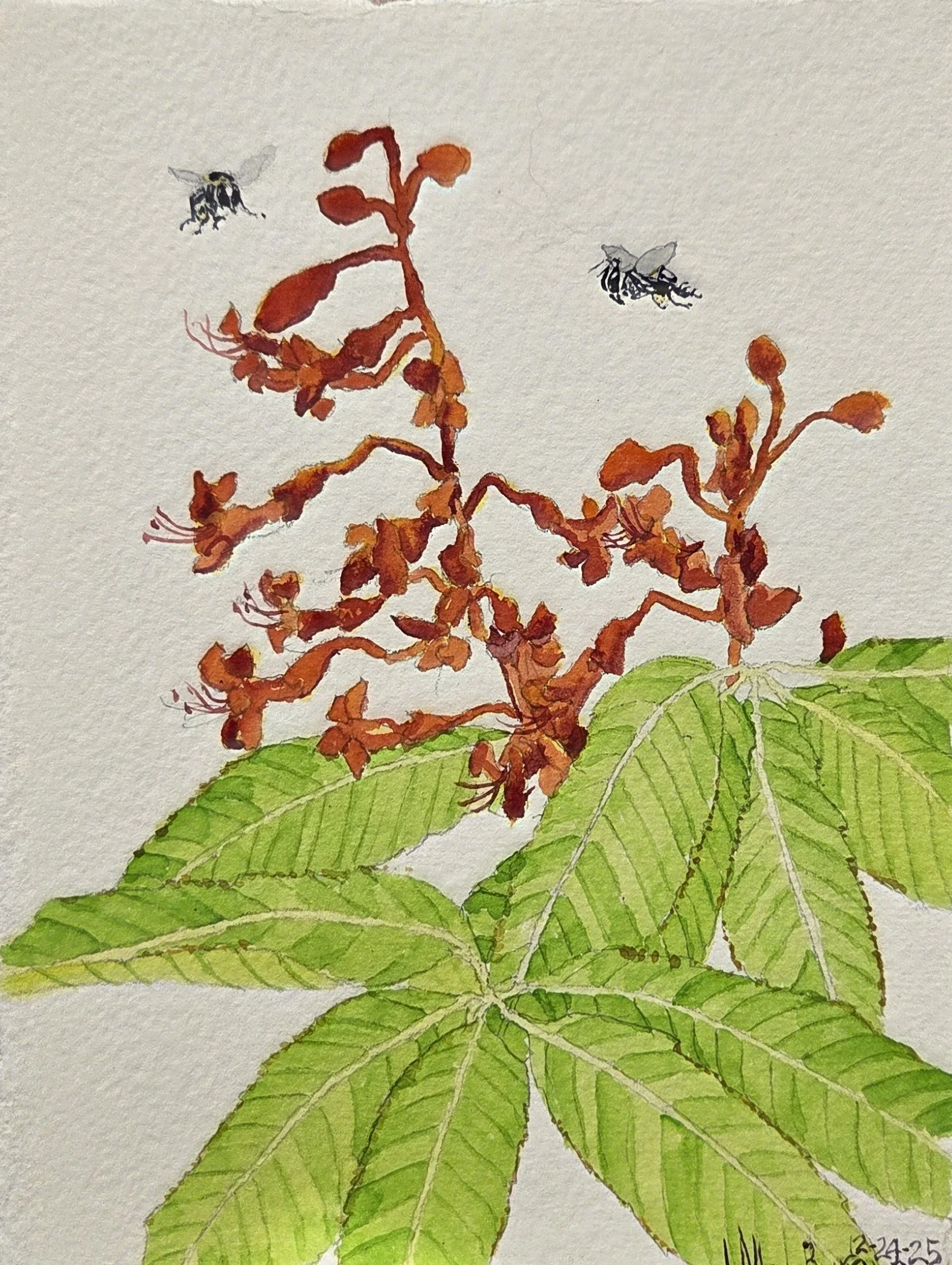 JAB116- Come Here Often, 5x7, watercolor