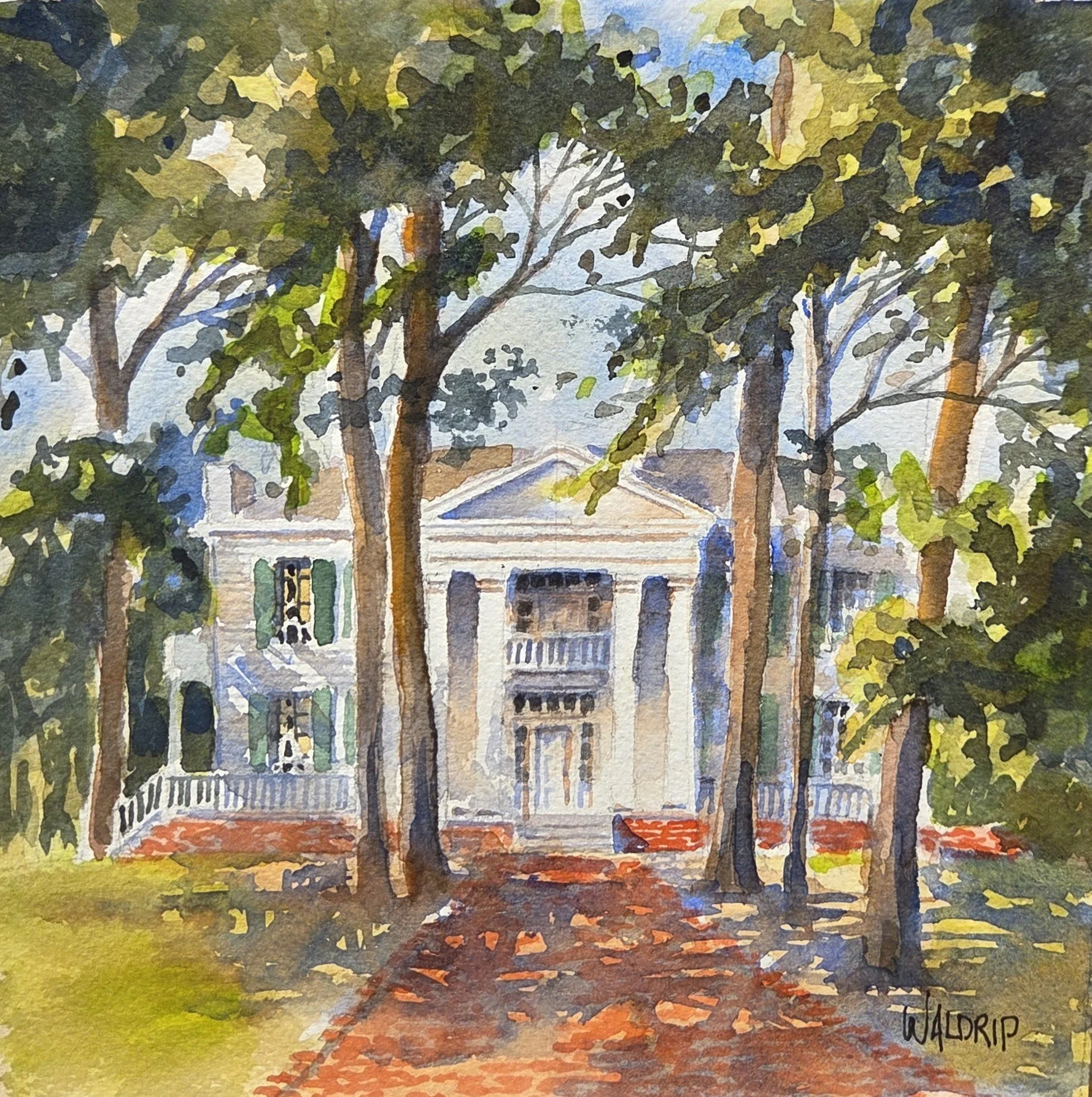 DW485- Rowan Oak, 7.5x7.5, watercolor