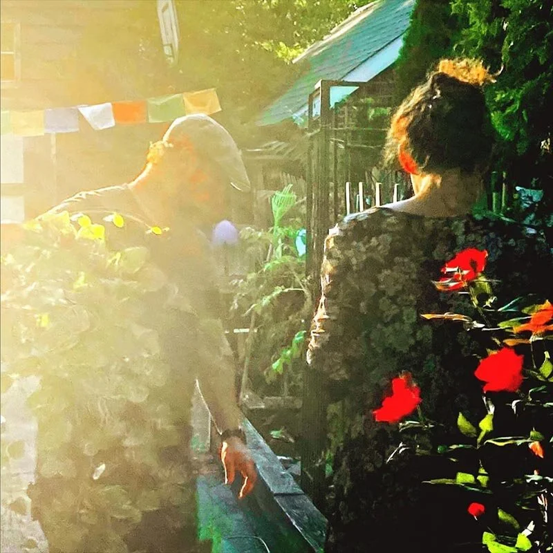 Annawyn_and_Nathan_Laing_yard.jpg