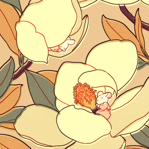 Magnolia (coming soon!)