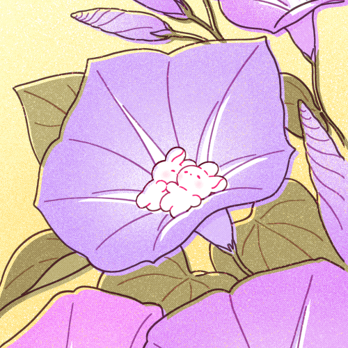 Morning Glory (includes a version without the bunnies!)