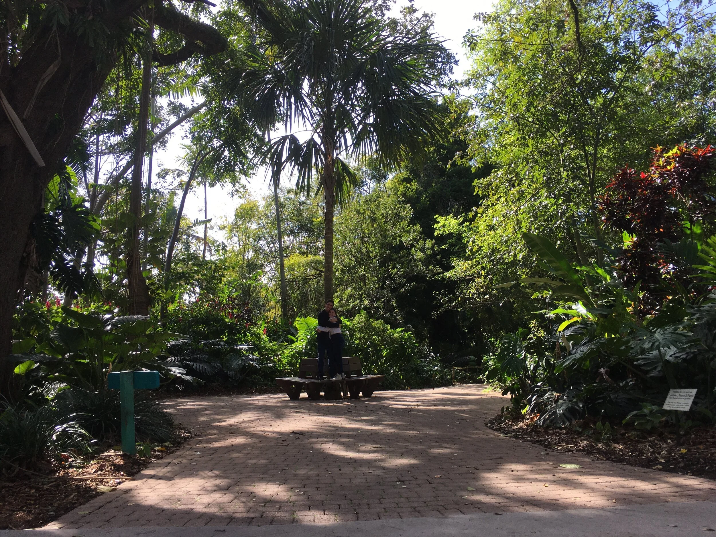 Flamingo Gardens