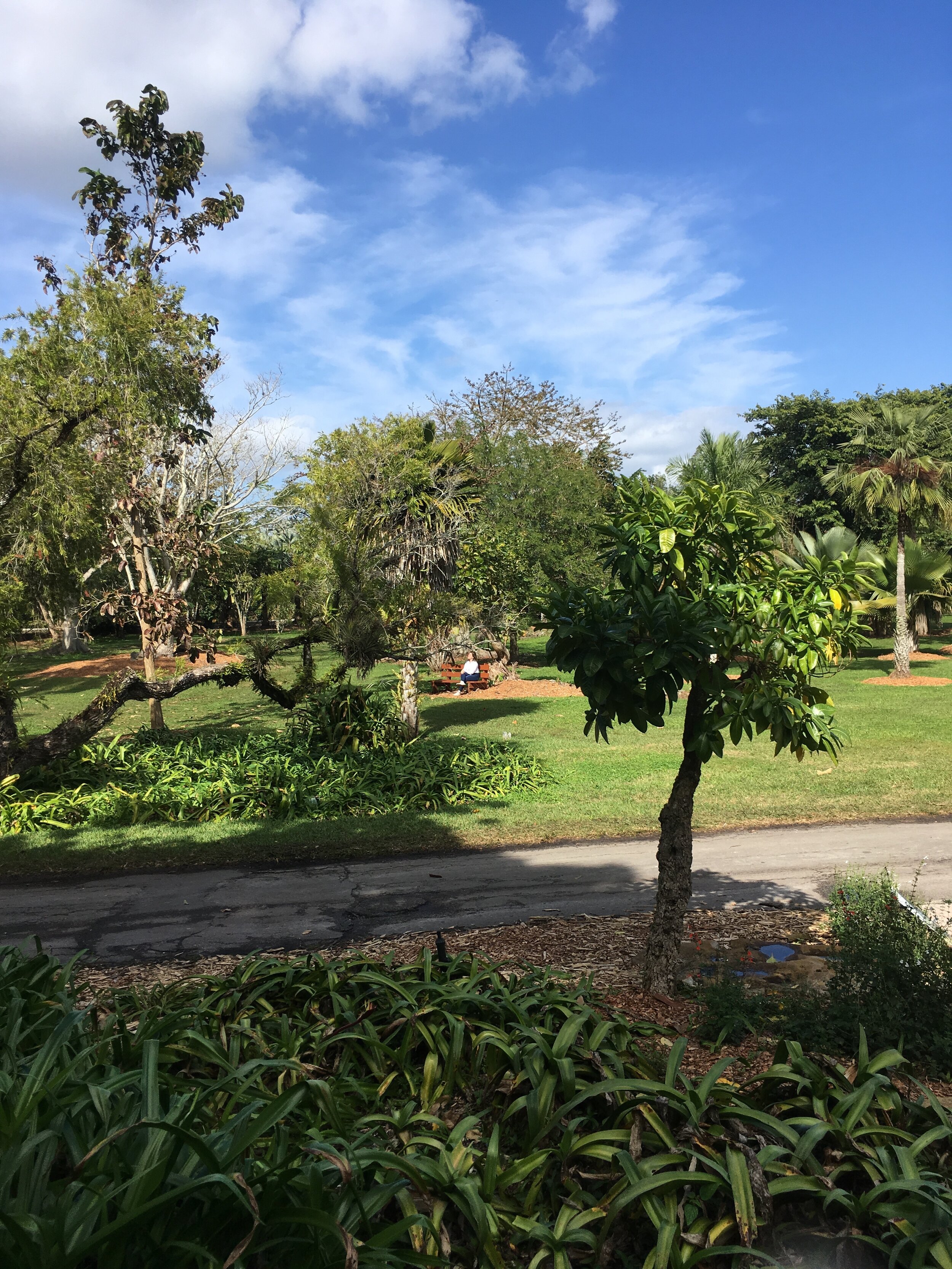 IMG_0053.jpeg