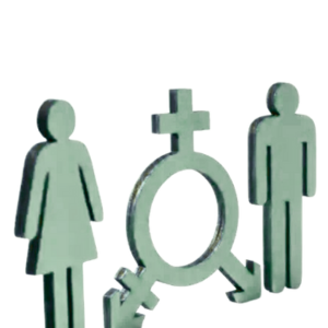 Gendermedizin-3.png