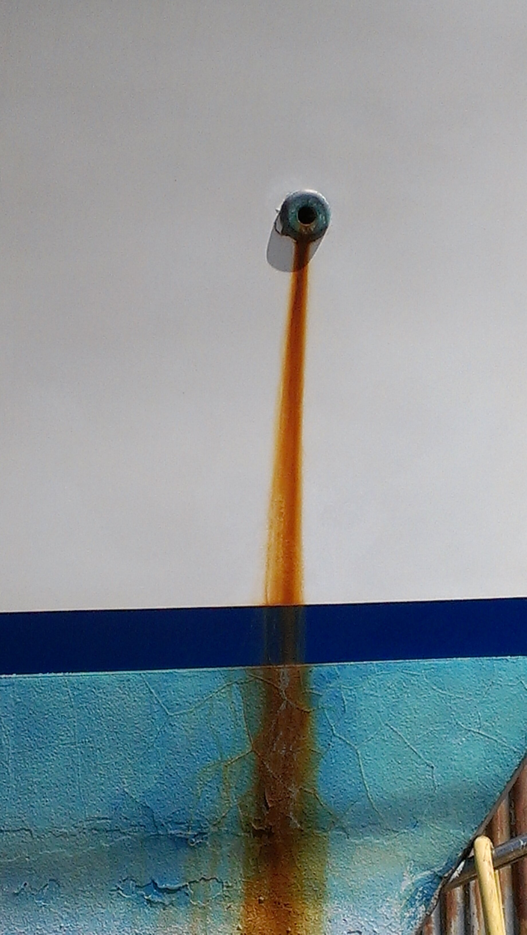 IMAG1698.jpg