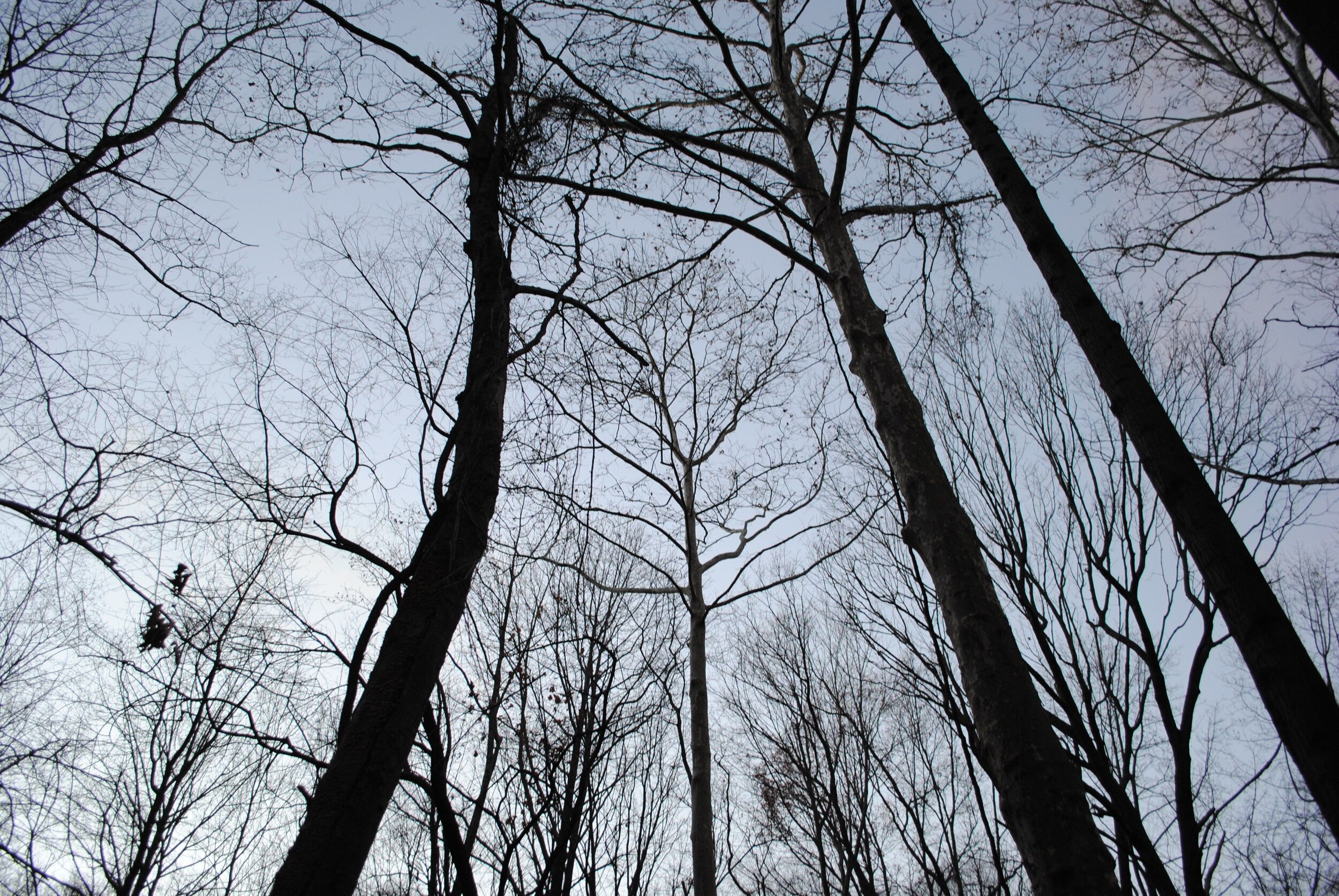 DSC_0123.jpg