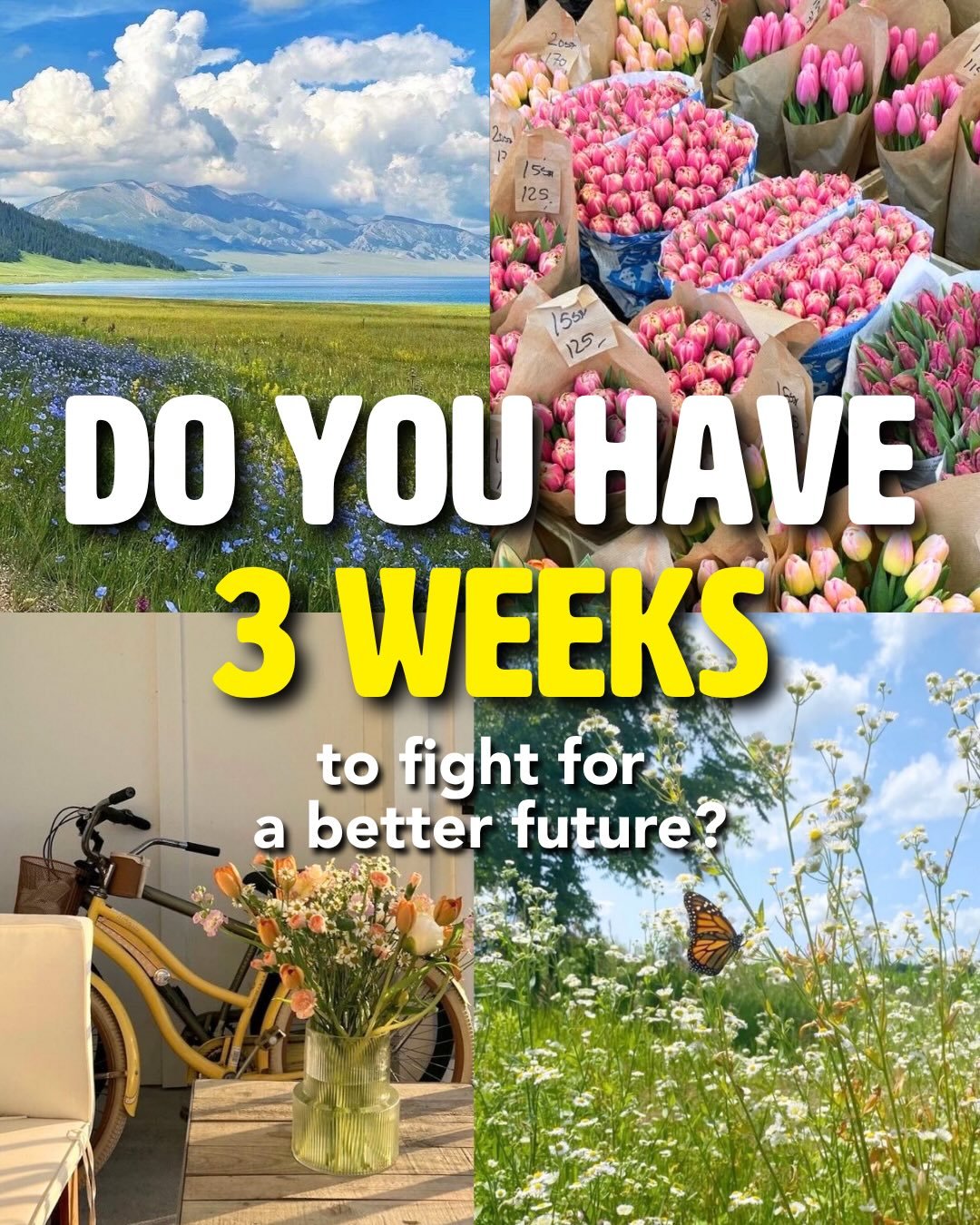 🗓️ Do you have 3 weeks to fight for a better future?

🌸 You can join our free Becoming a Force of Nature programme from anywhere in the world and meet other like-minded young people! 

🌍📋 Applications are now OPEN and close on 7th May so head to 