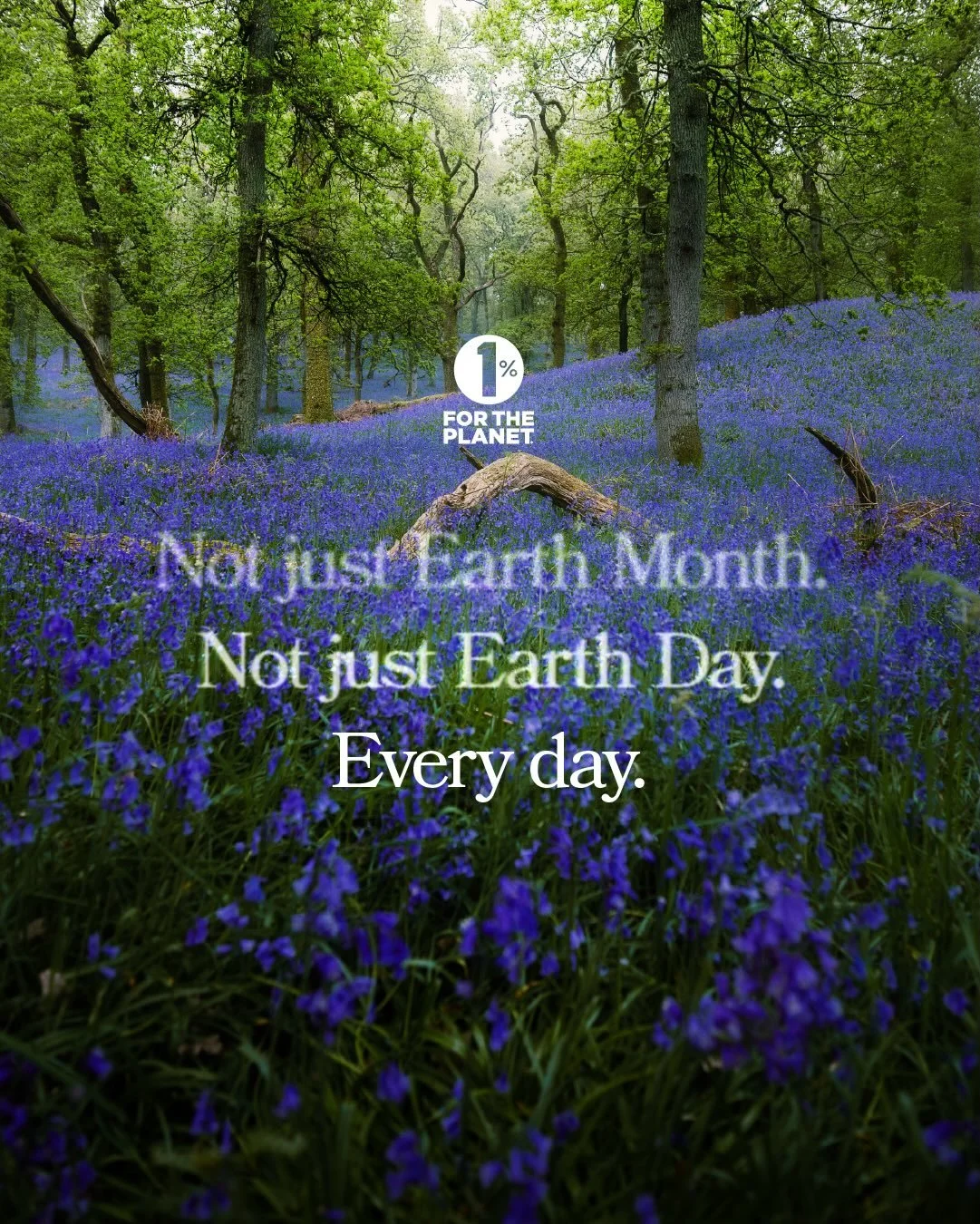 Earth Day reminds us of the challenges facing our planet, and the work going into all the intersections of action all throughout the year. 🌱

Support from 1% for the Planet member businesses helps power our efforts to mobilise a generation to rebuil