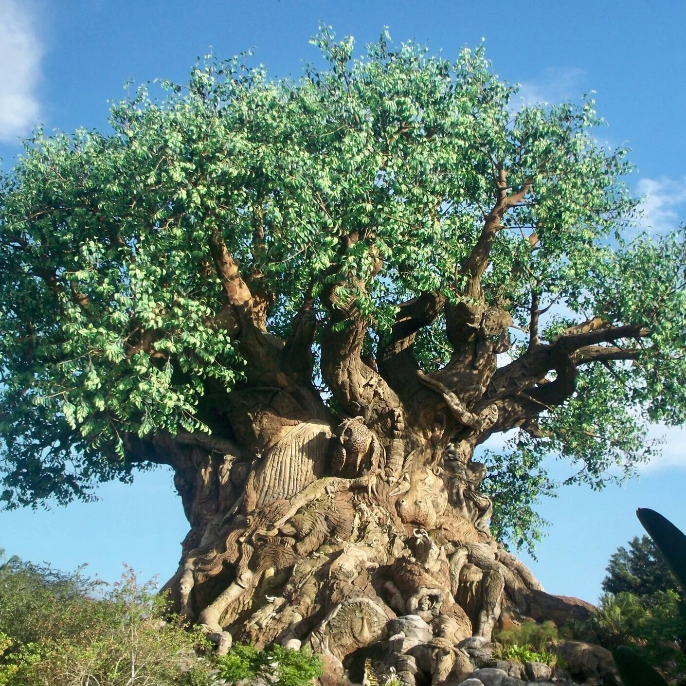 Animal Kingdom