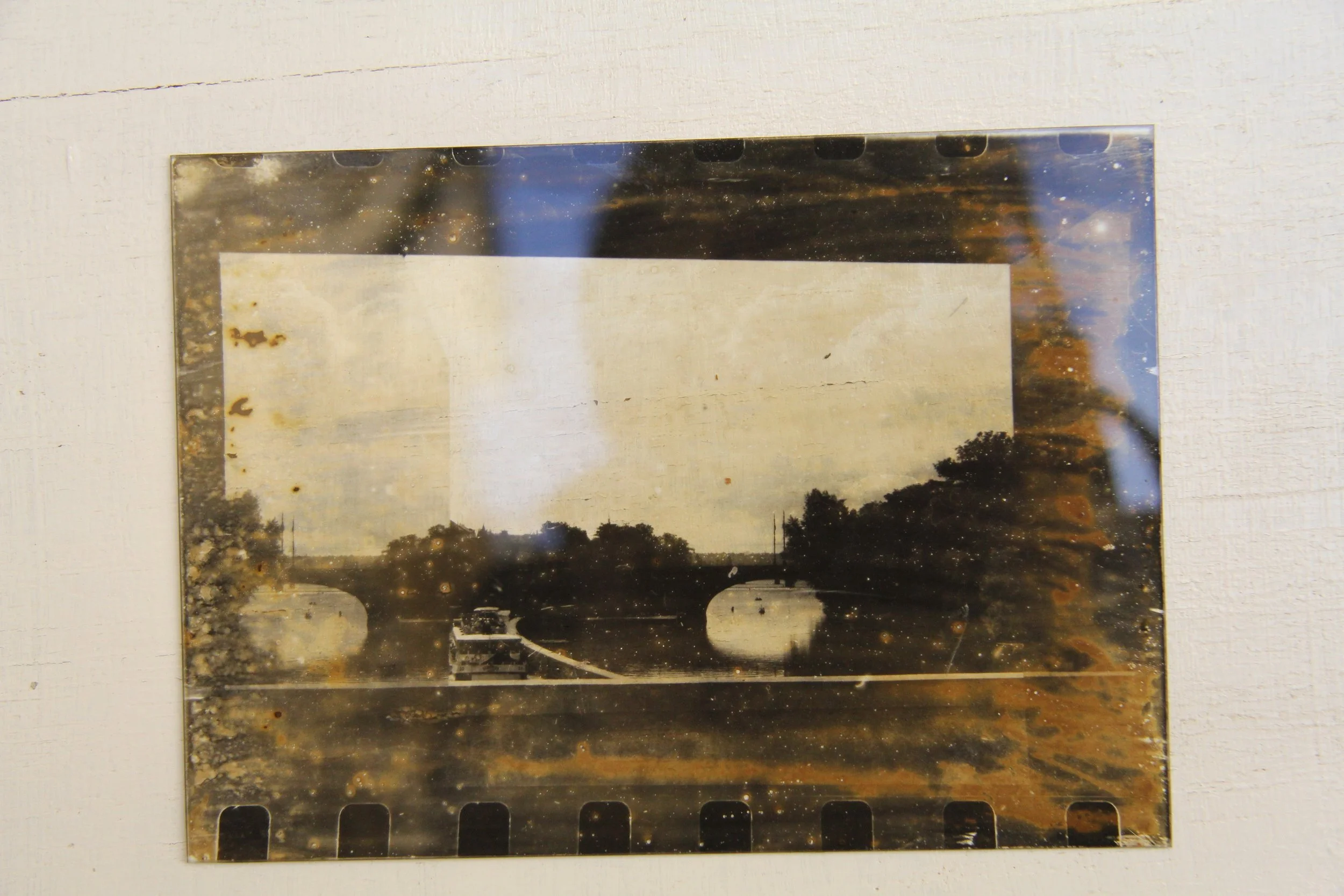 IMG_3523or any other.JPG