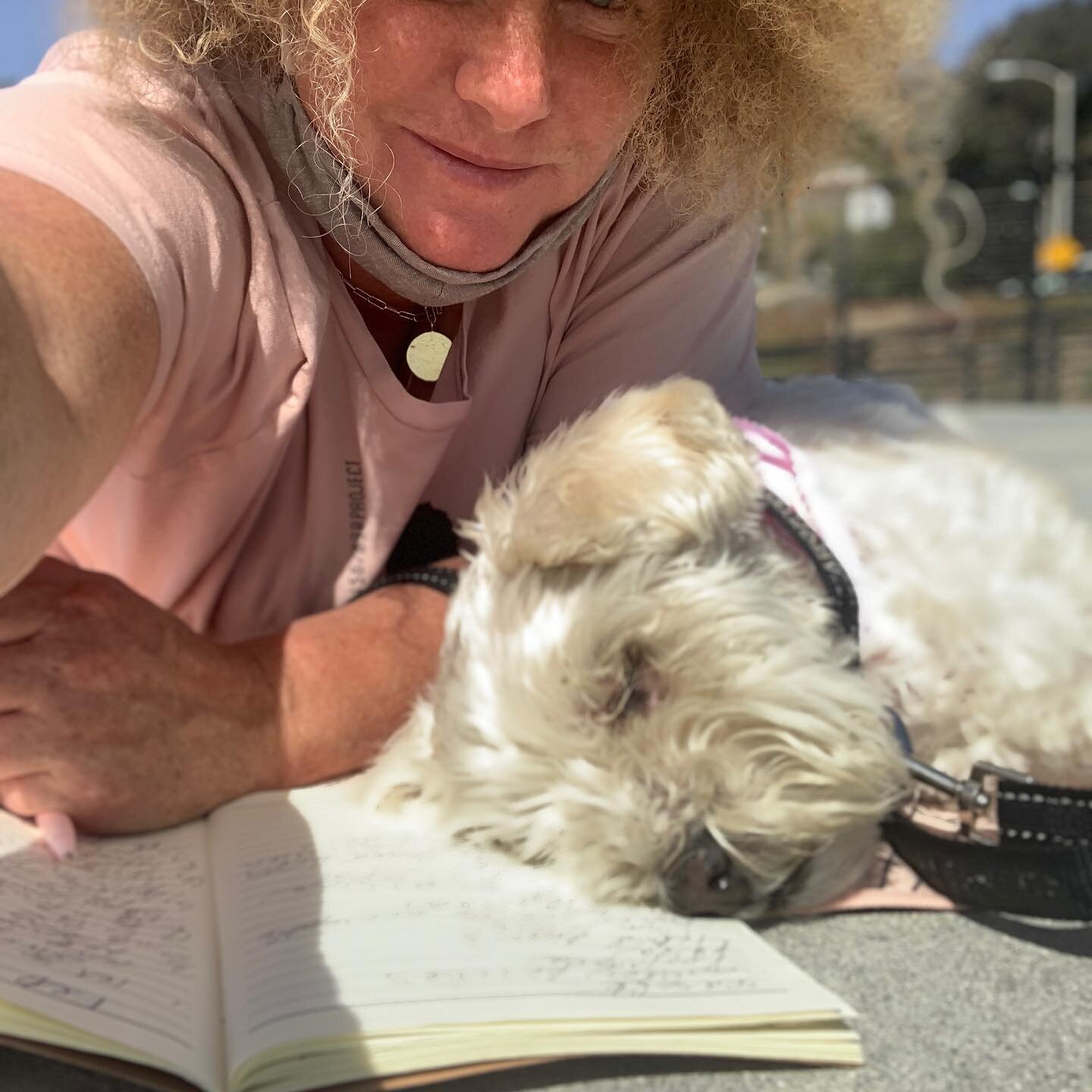 Welp I can&rsquo;t finish my full moon journaling, @lifewithbettywhite fell asleep on it.  Betty White put the extra good sleep juju into my intentions ✨✨✨