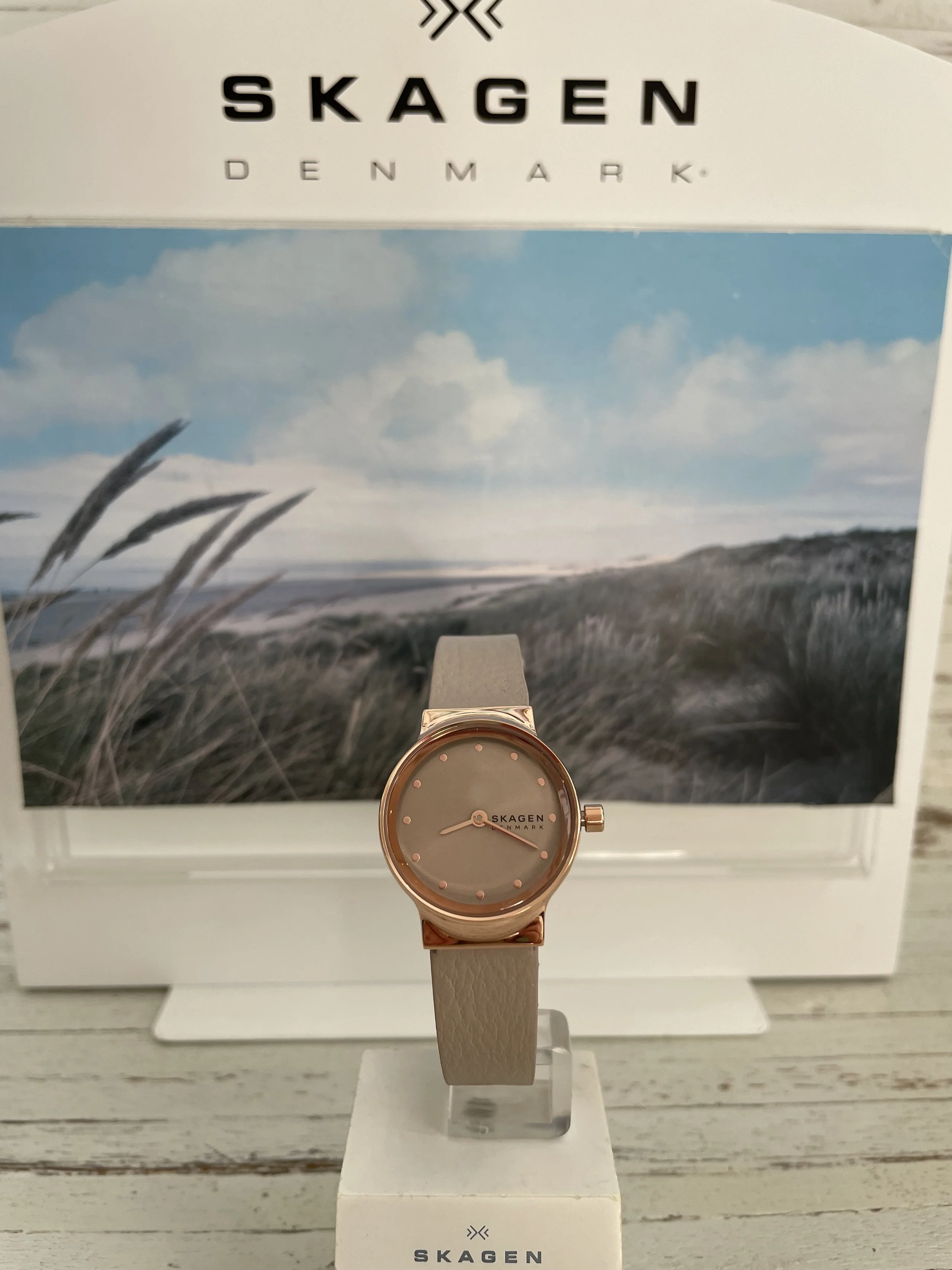 Skagen Denmark Skagen Steel Women's Watch Skagen Denmark