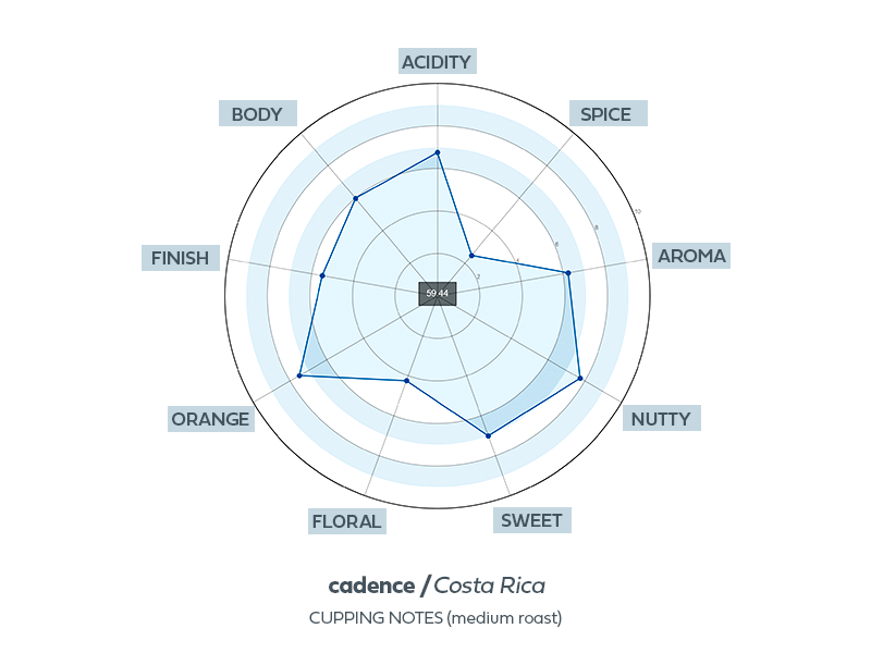 cadence cupnotes.png