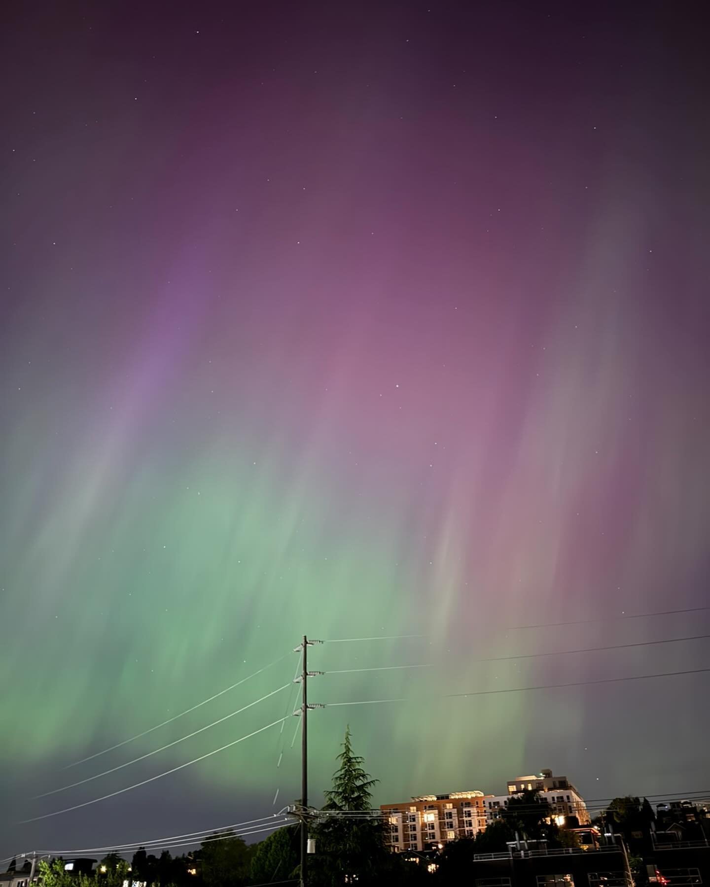 Absolutely incredible display of the northern lights tonight from Seattle. Mind blown.