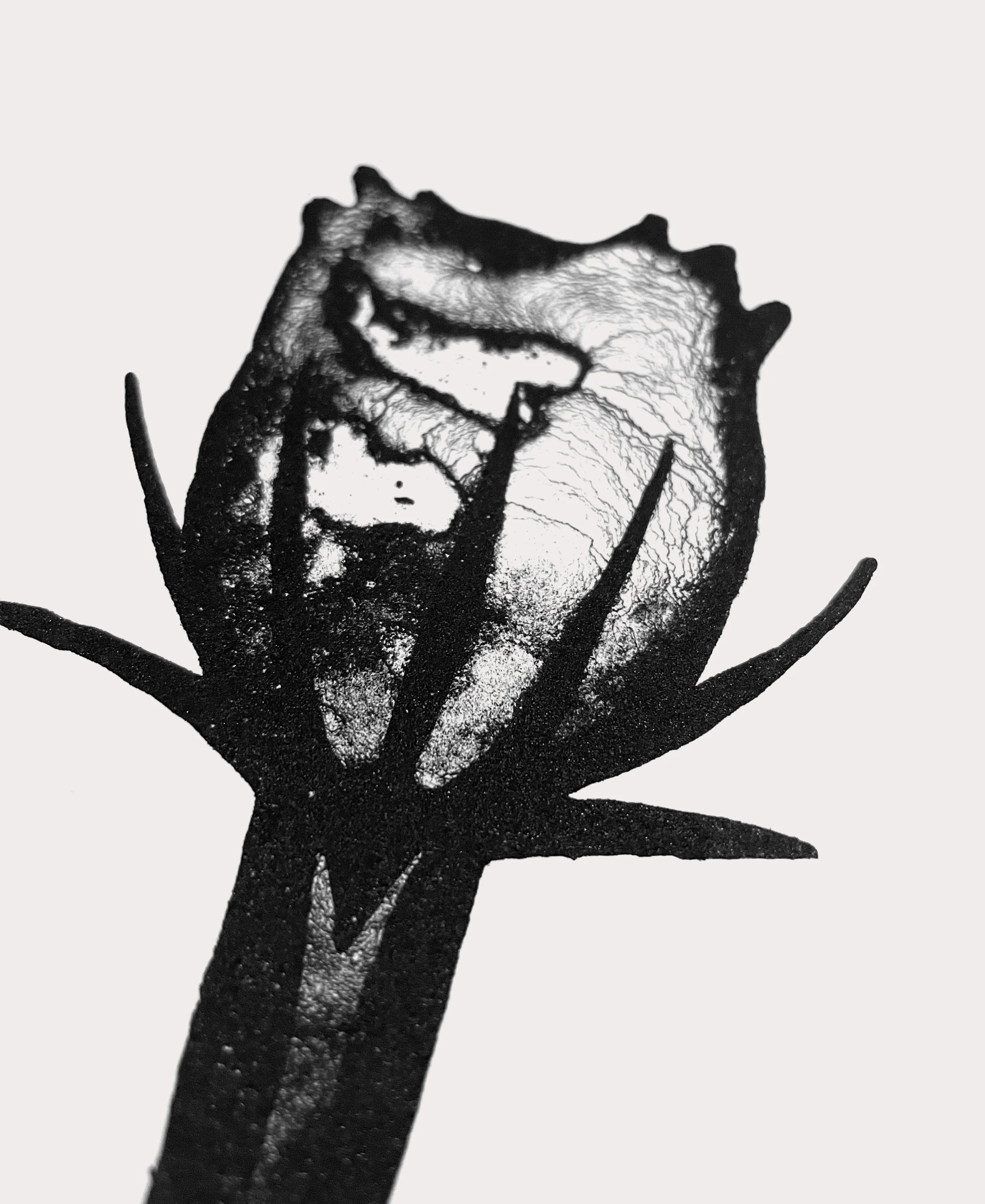 flower2_close.jpg